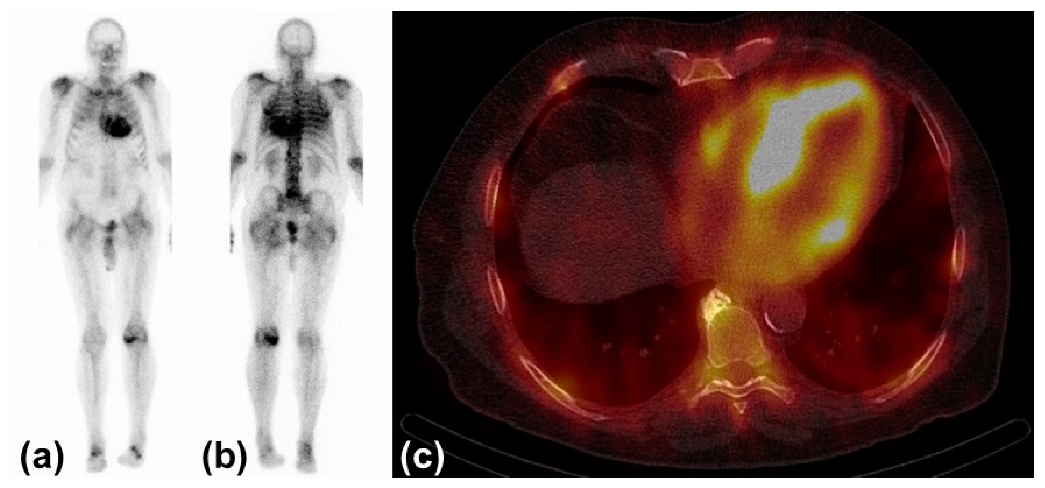 /media/item_content/202205/6274bc8d62cc1biomedicines-10-00903-g003.png