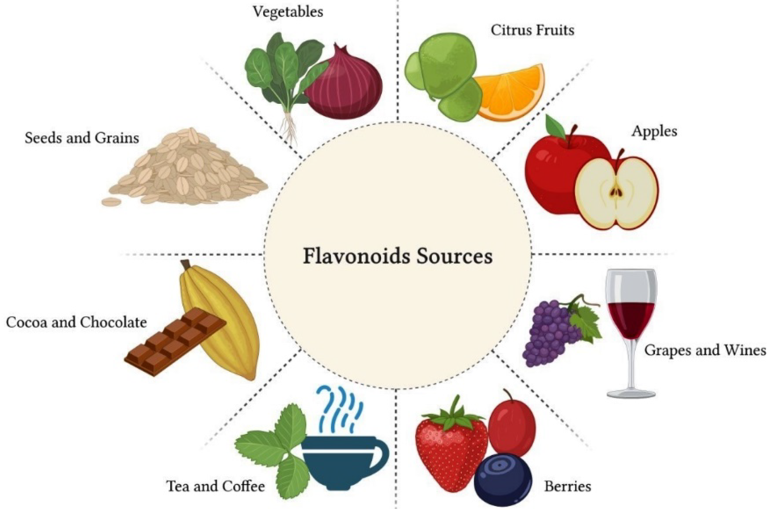 Flavonoids in vegetables