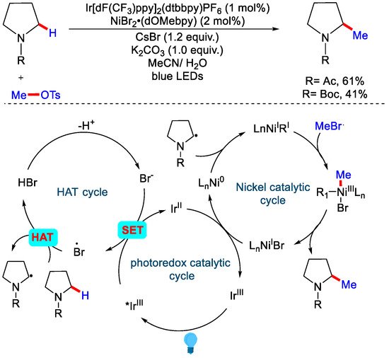 Catalysts 12 00510 sch016 550