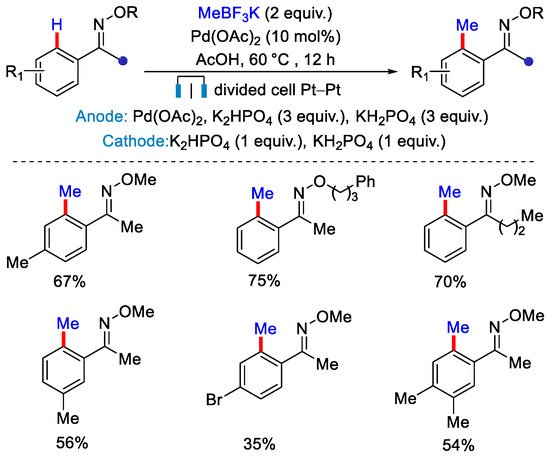 Catalysts 12 00510 sch020 550