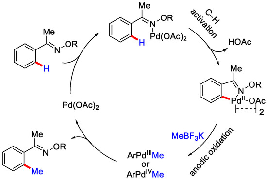 Catalysts 12 00510 sch021 550
