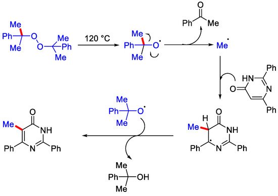Catalysts 12 00510 sch034 550