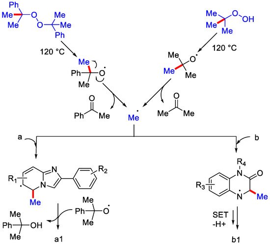 Catalysts 12 00510 sch038 550