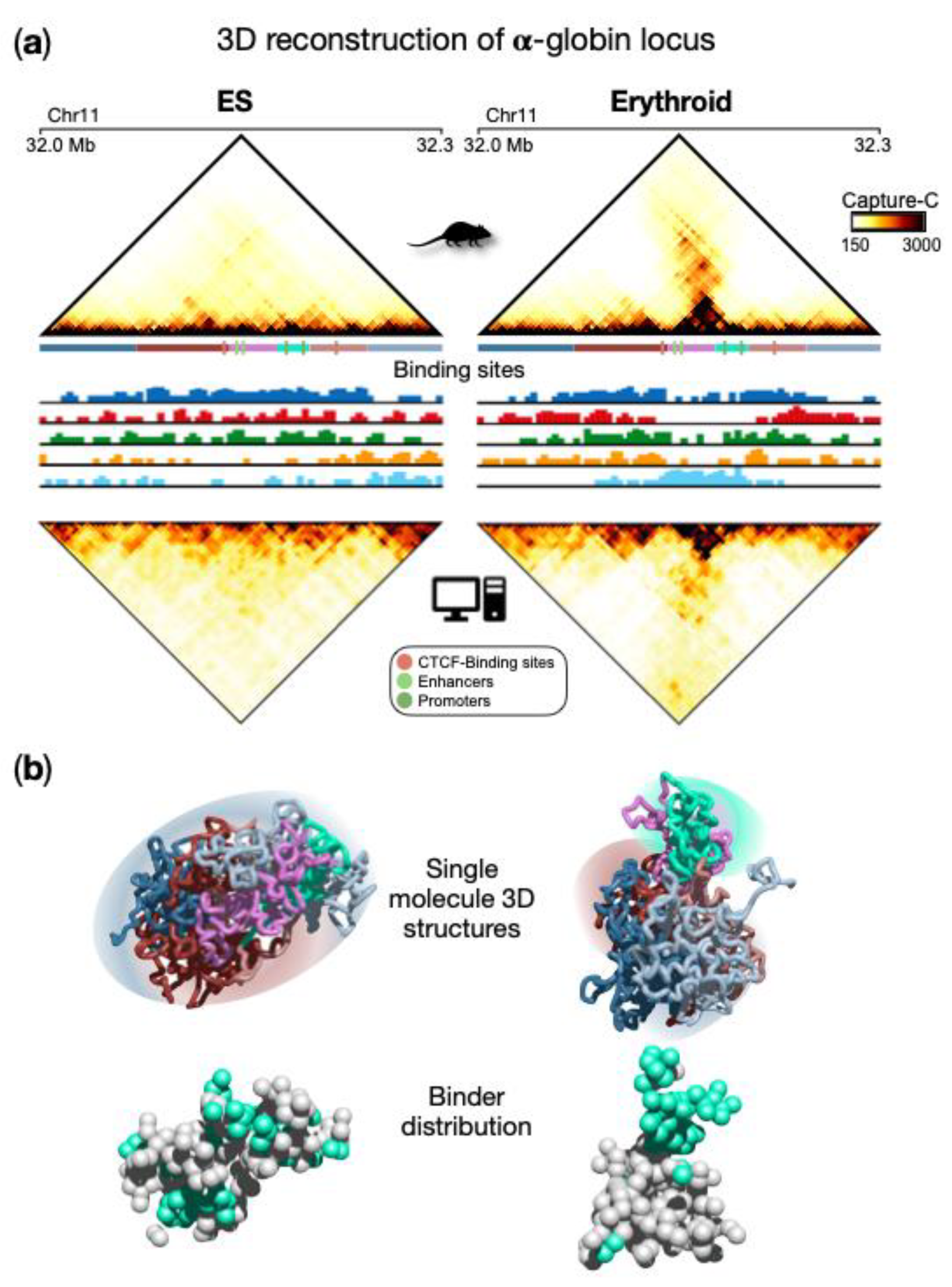 /media/item_content/202205/628df75f21348polymers-14-01918-g004.png