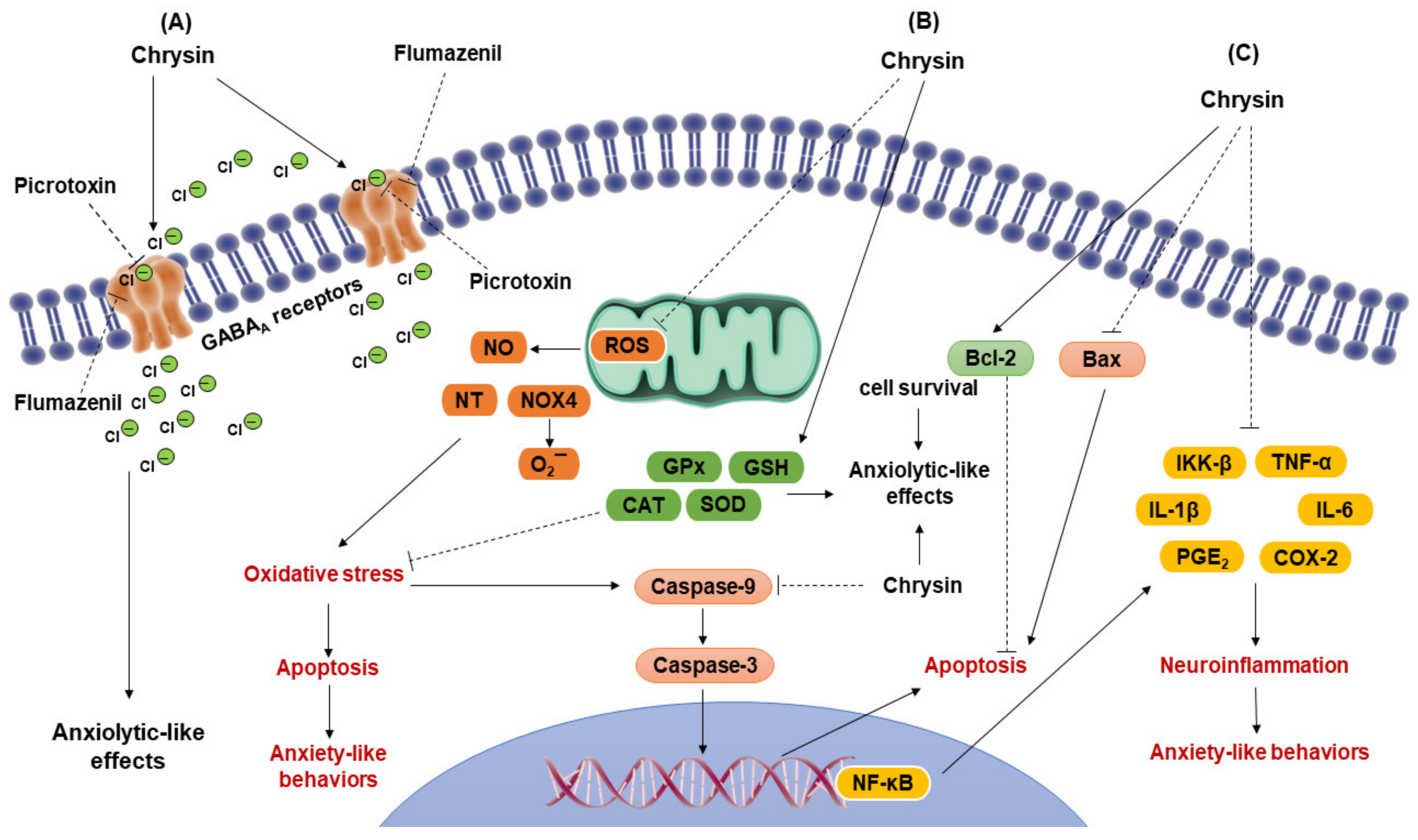 /media/item_content/202206/62aac75dc791emolecules-27-03551-g002.png