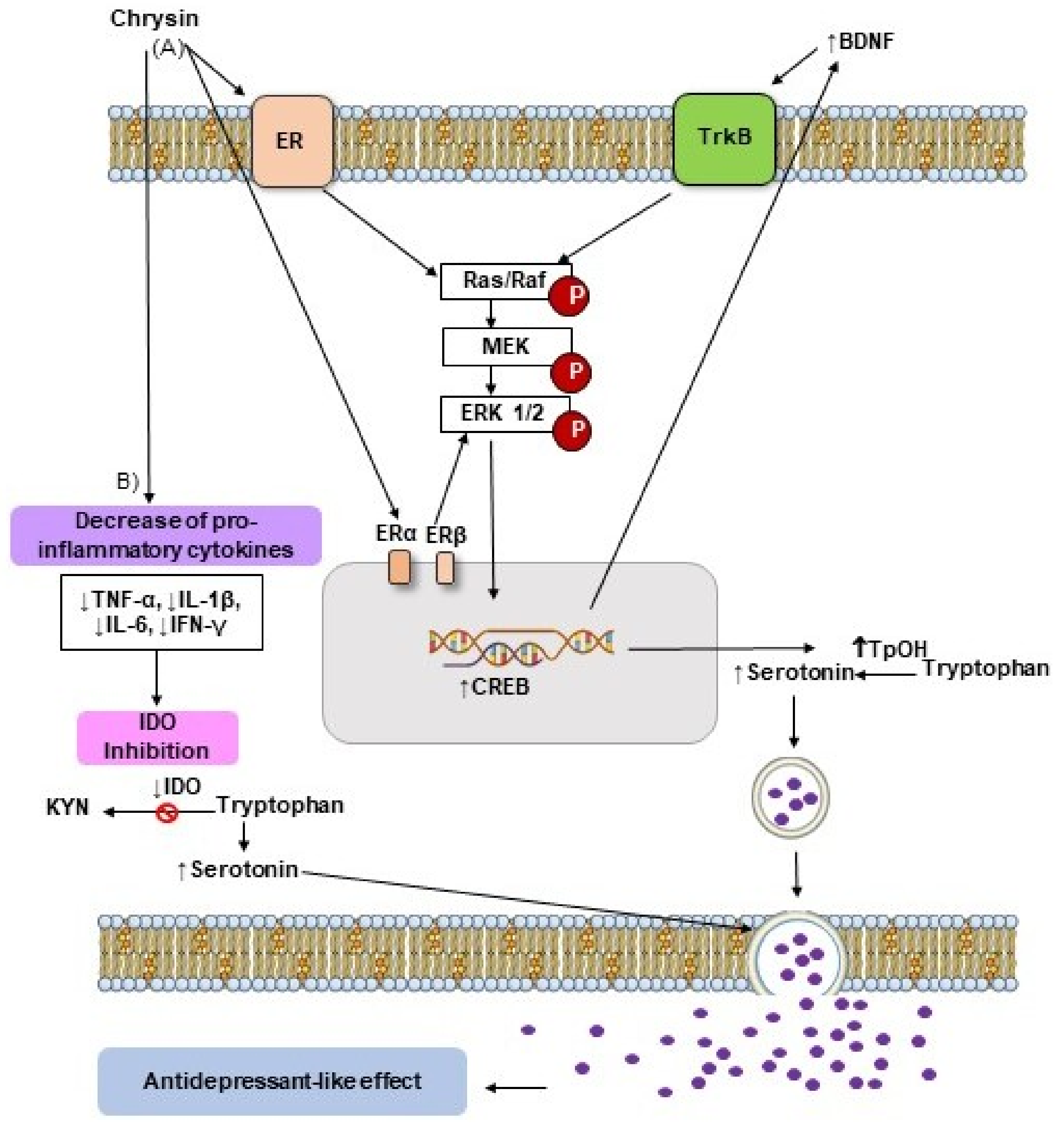 /media/item_content/202206/62aac77d24eadmolecules-27-03551-g003.png