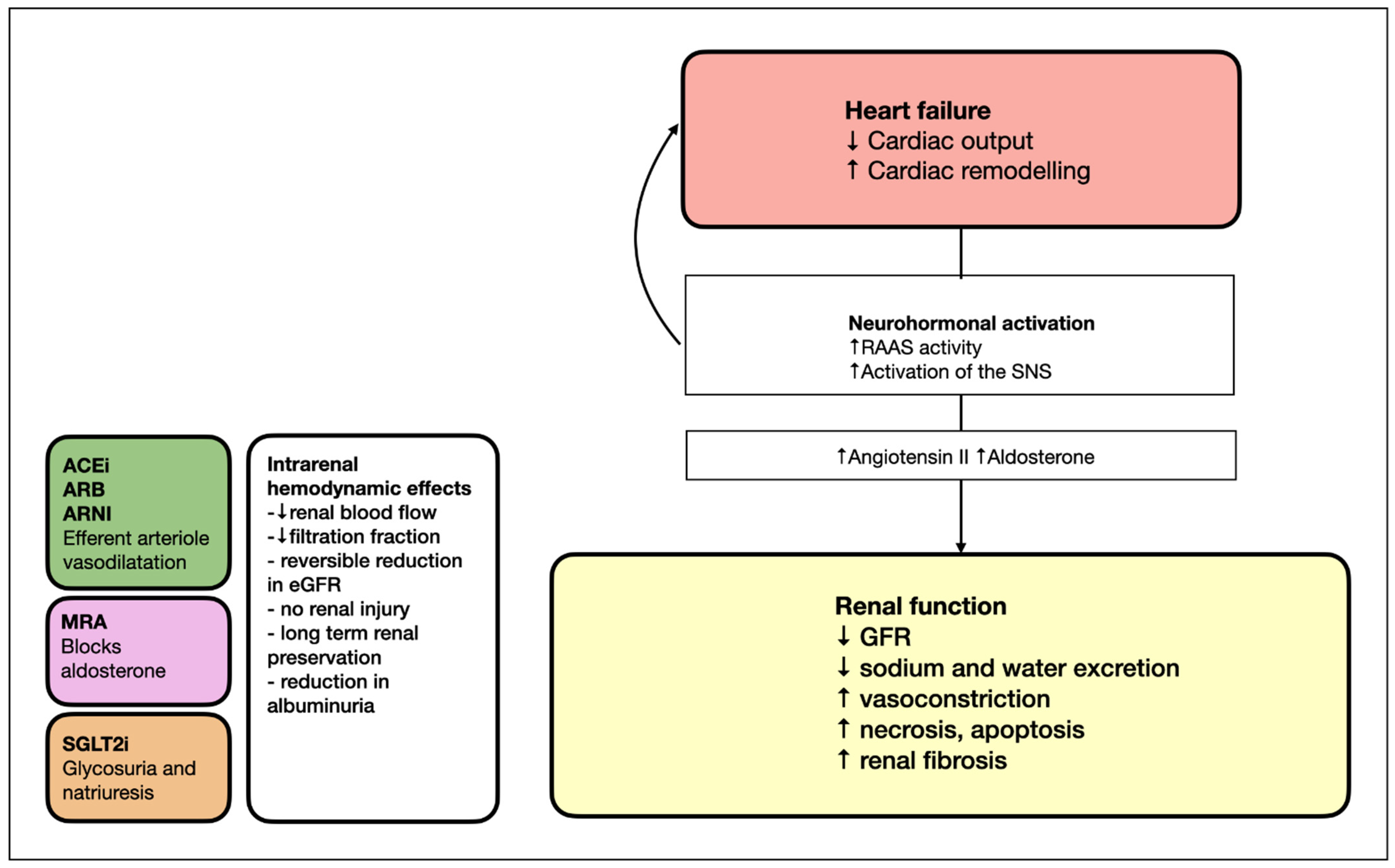 cardiorenal-crosstalk-in-patients-with-heart-failure-encyclopedia-mdpi