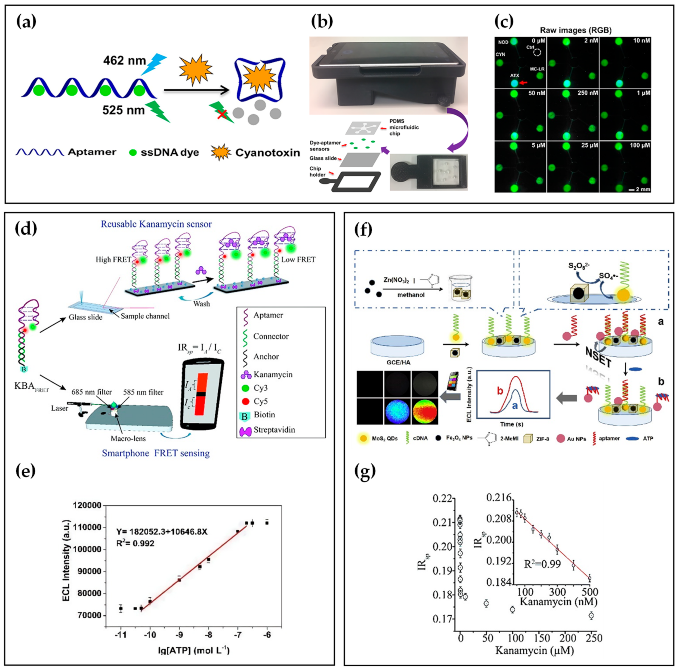 Biosensors 12 00477 g002