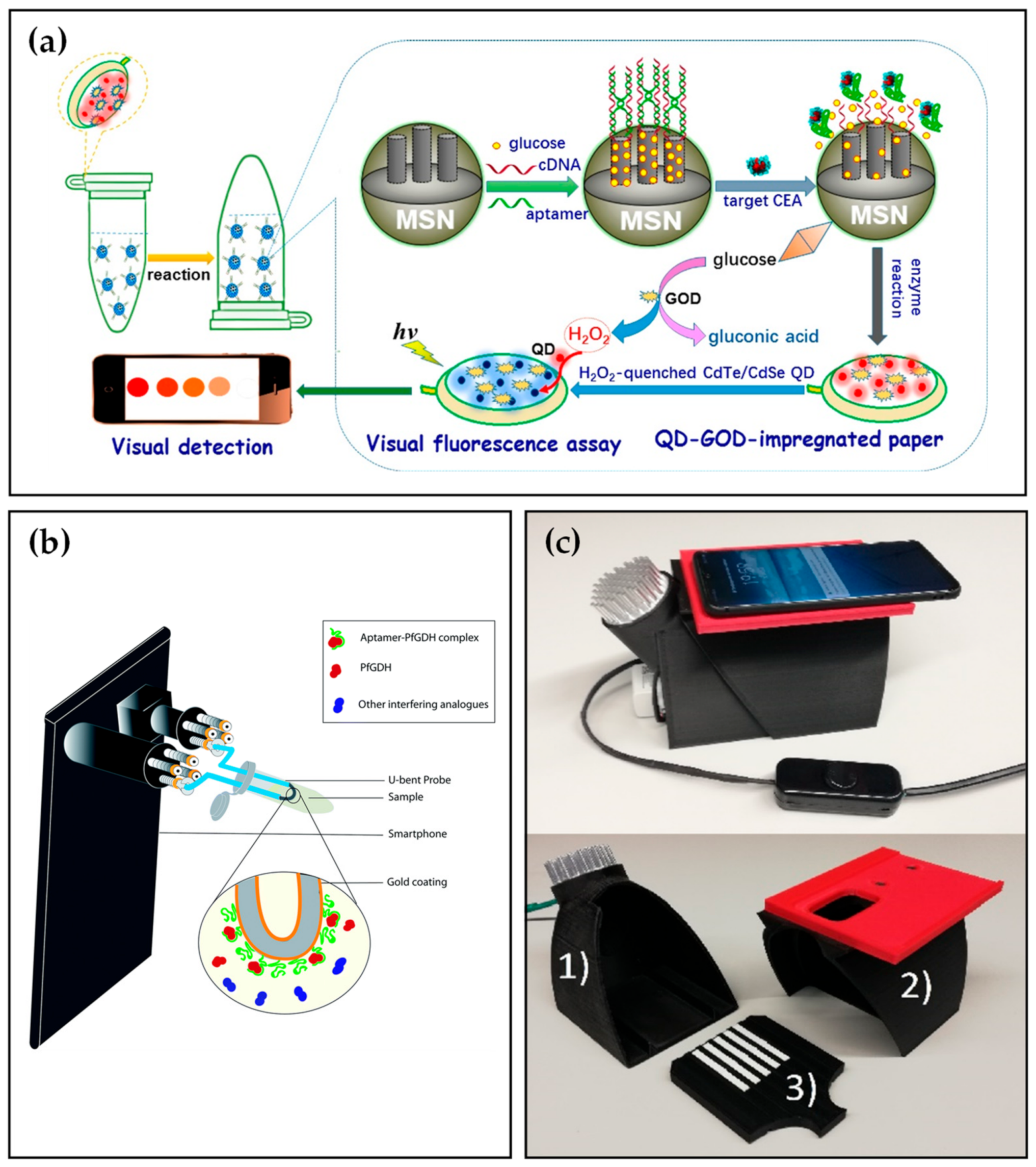 Biosensors 12 00477 g004