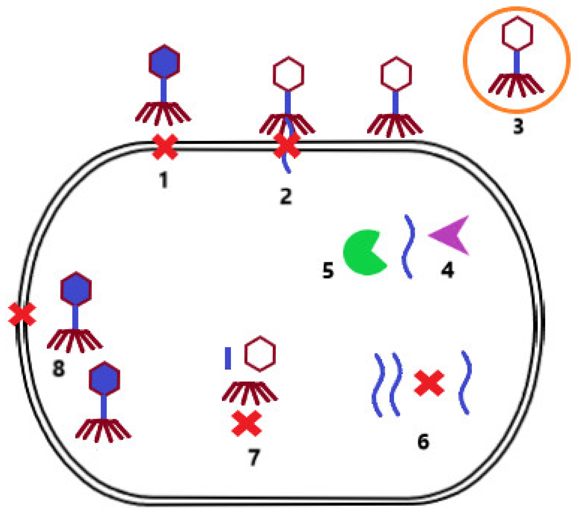 Microorganisms 10 01365 g002