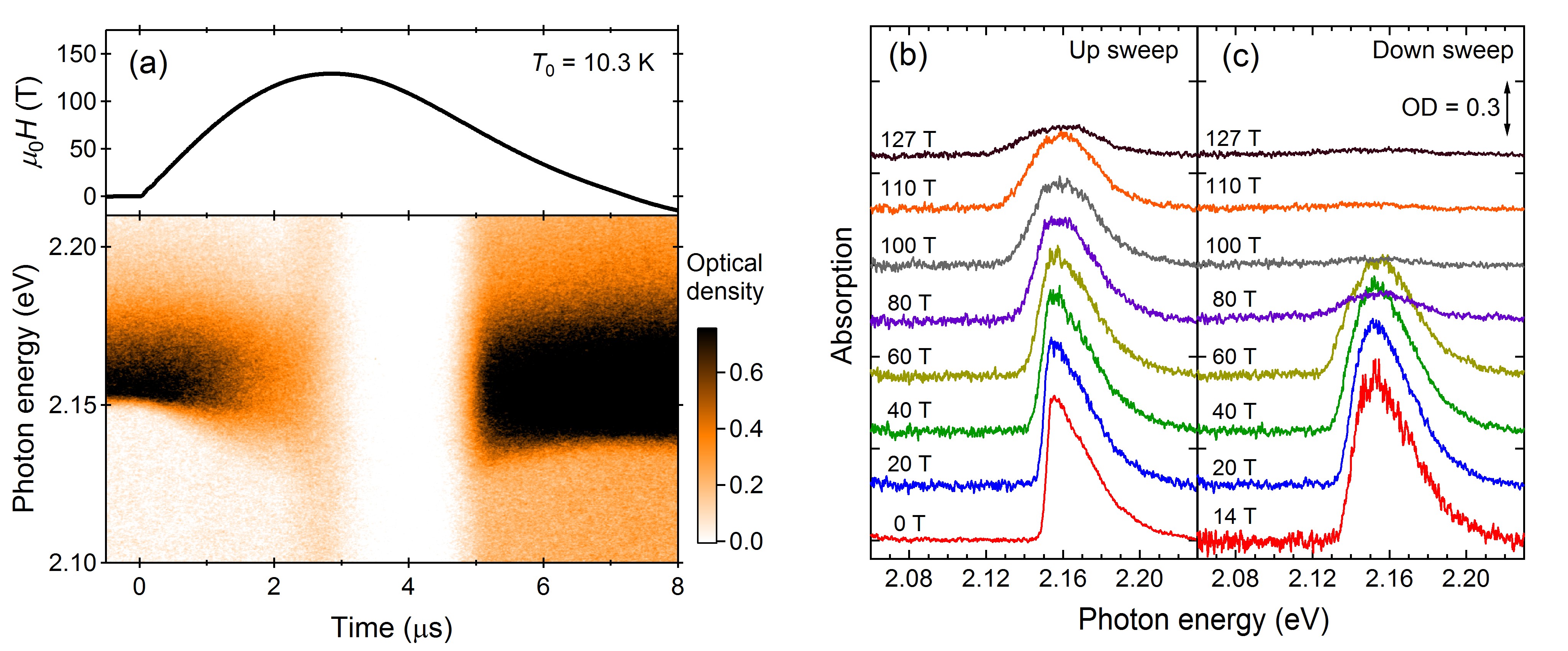 Results of the magneto-optical measurement on solid oxygen. (a) Magnetic field waveform and absorption spectra as a function of time. Optical density (OD) is shown in the color scale. The initial temperature is 10.3 K. (b,c) Absorption spectra for the (b) field-up sweep and (c) field-down sweeps.