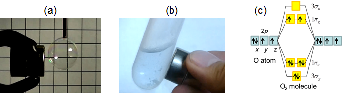 (a) Gaseous and (b) liquid oxygen attracted by a permanent magnet. (c) Electron configuration of the O2  molecule.