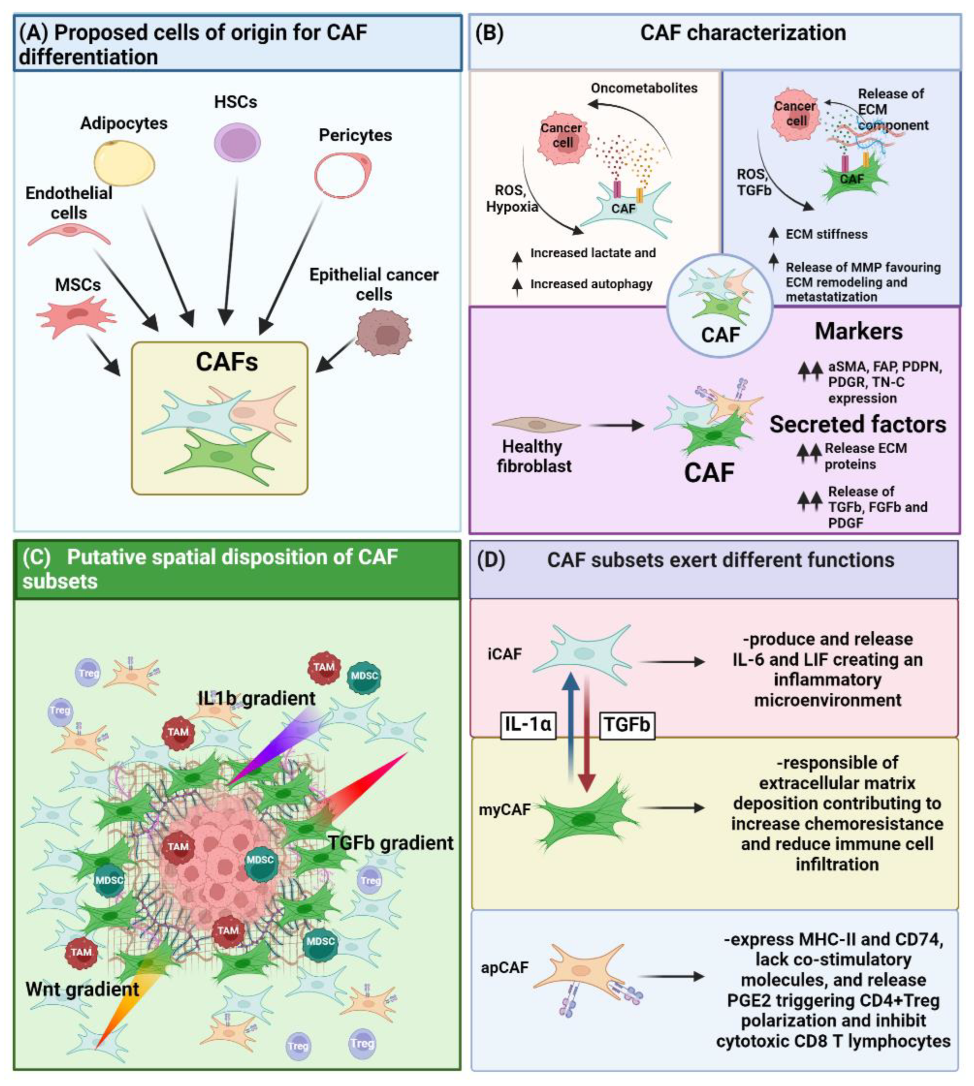 Cancers 14 03570 g001