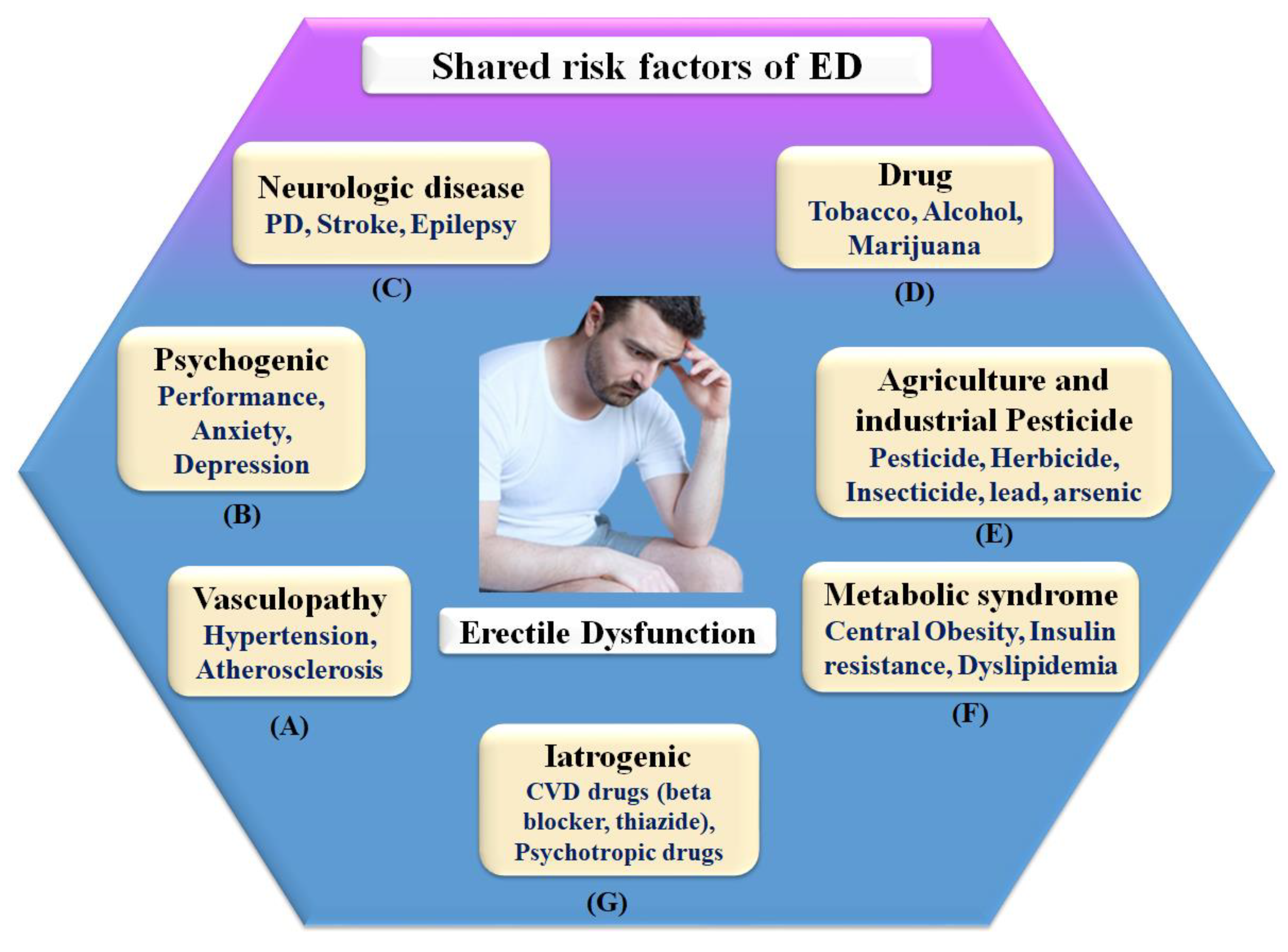 Erectile Dysfunction and Cardiovascular Disease Links | Encyclopedia MDPI