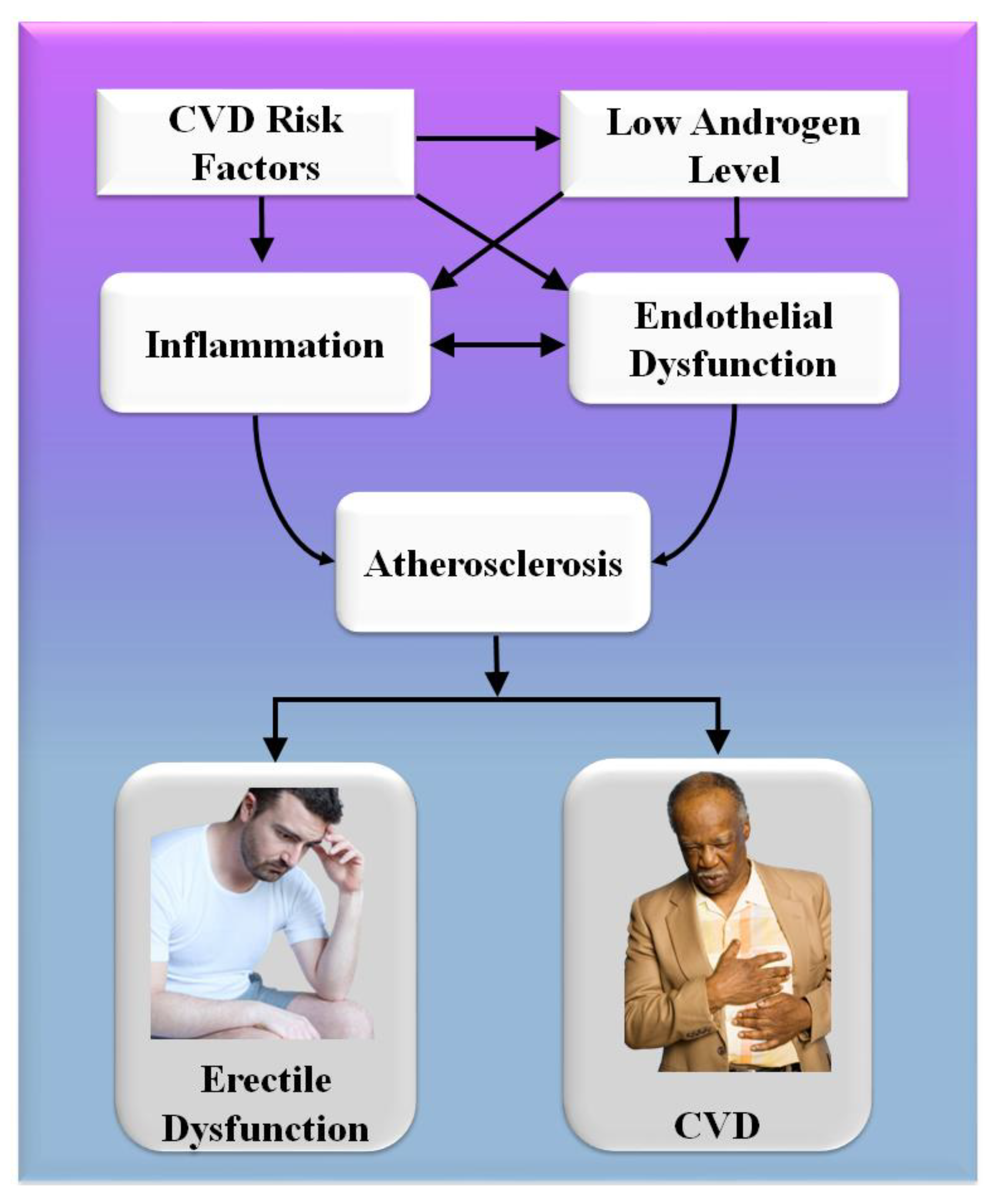 Erectile Dysfunction and Cardiovascular Disease Links