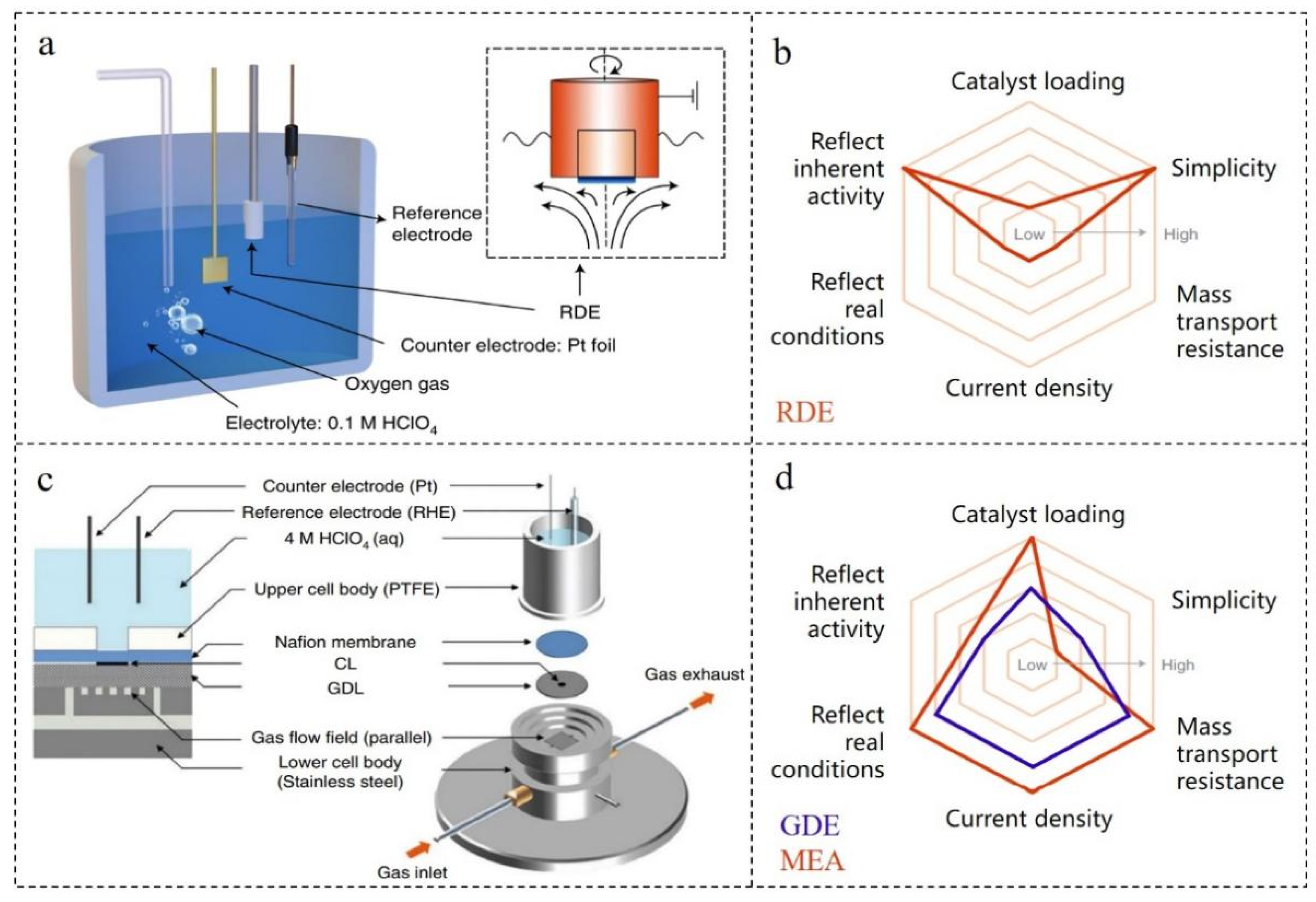 Nanomaterials 12 02480 g001