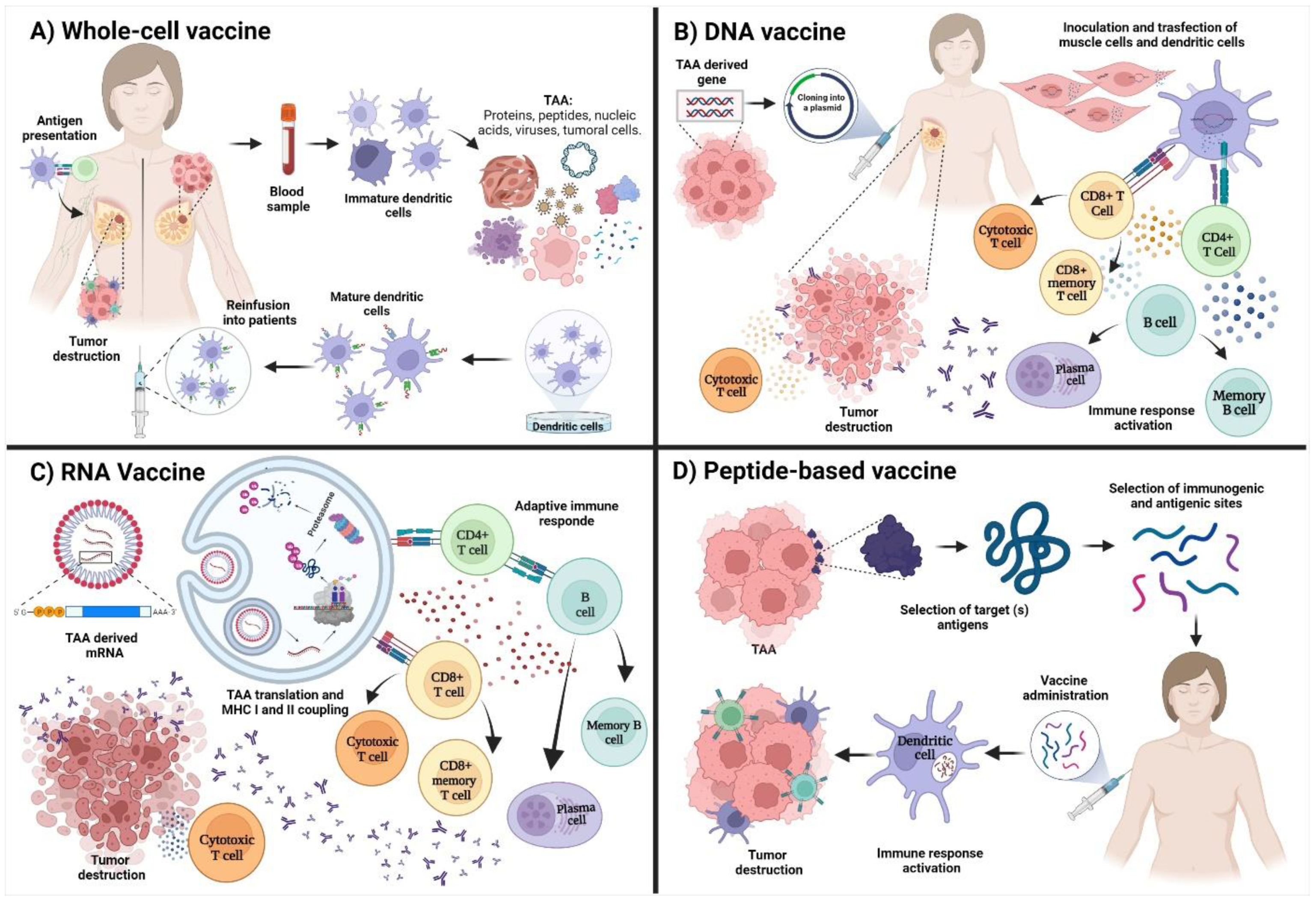 Why Is ImmunoPrecise Antibodies (IPA) Stock Down 39% Today