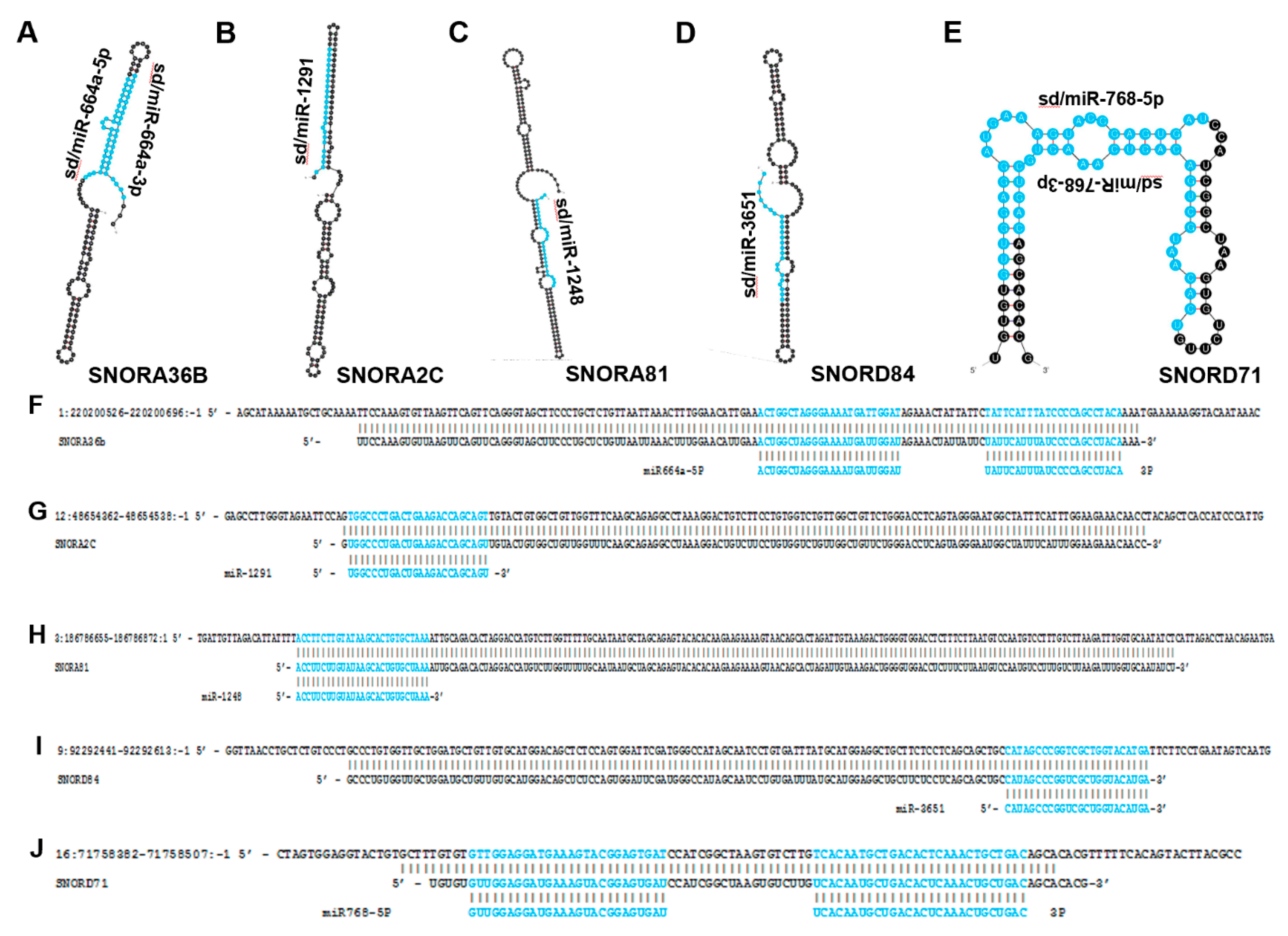 /media/item_content/202208/630eb016ea8f0biomedicines-10-01819-g004.png