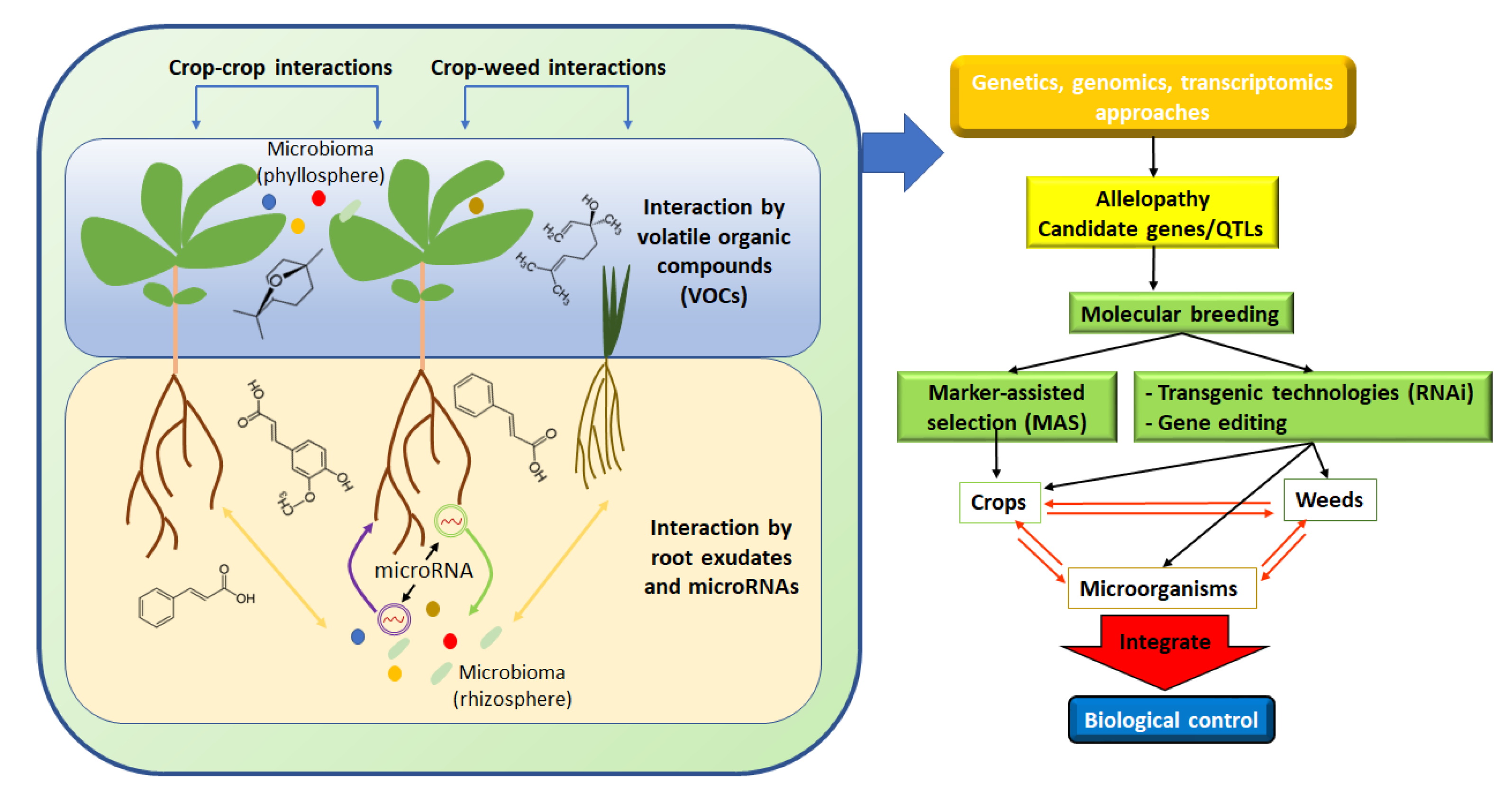 Agronomy 12 02043 g001 550