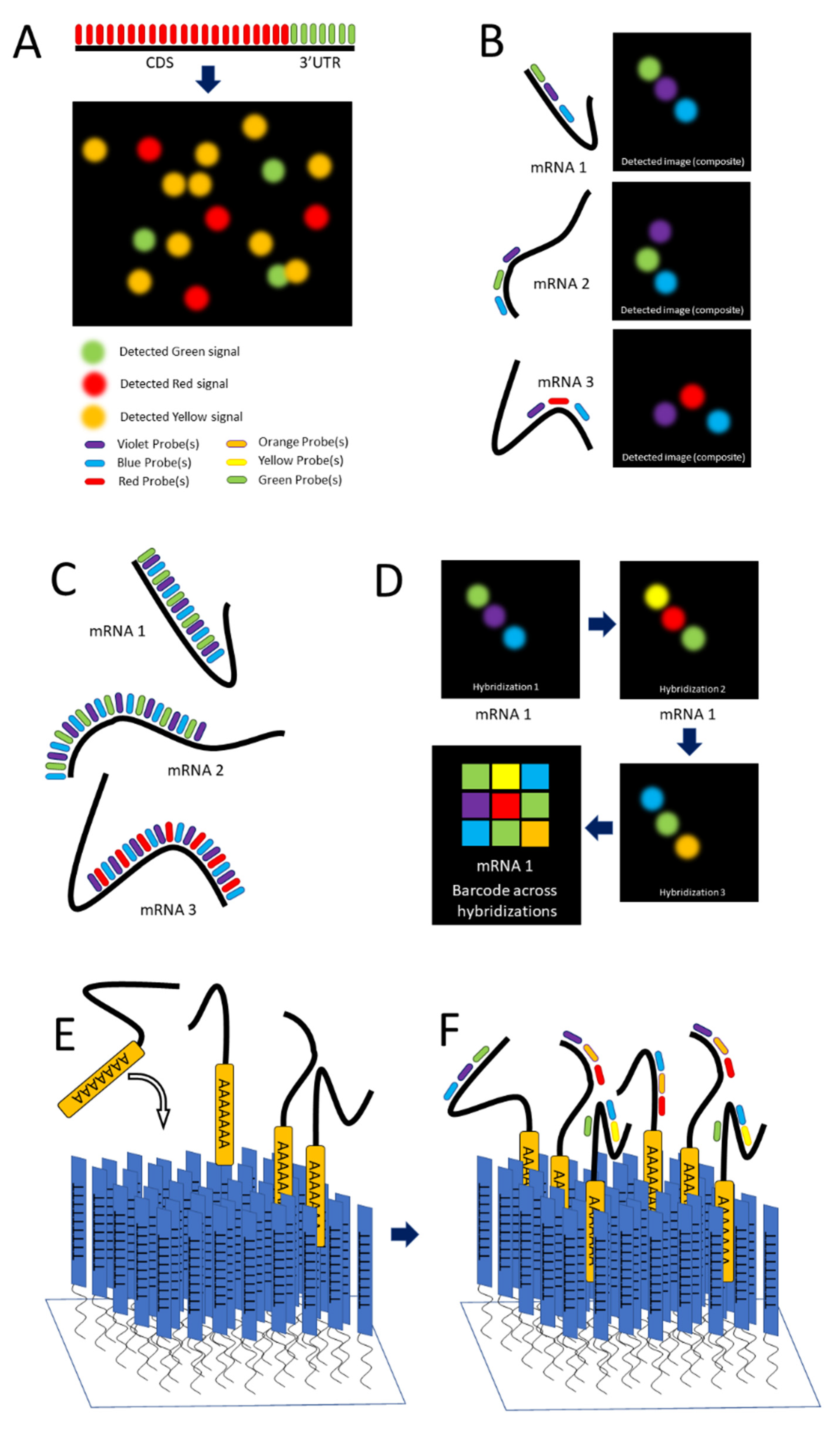 /media/item_content/202210/6341044c91f32cells-11-03079-g002.png