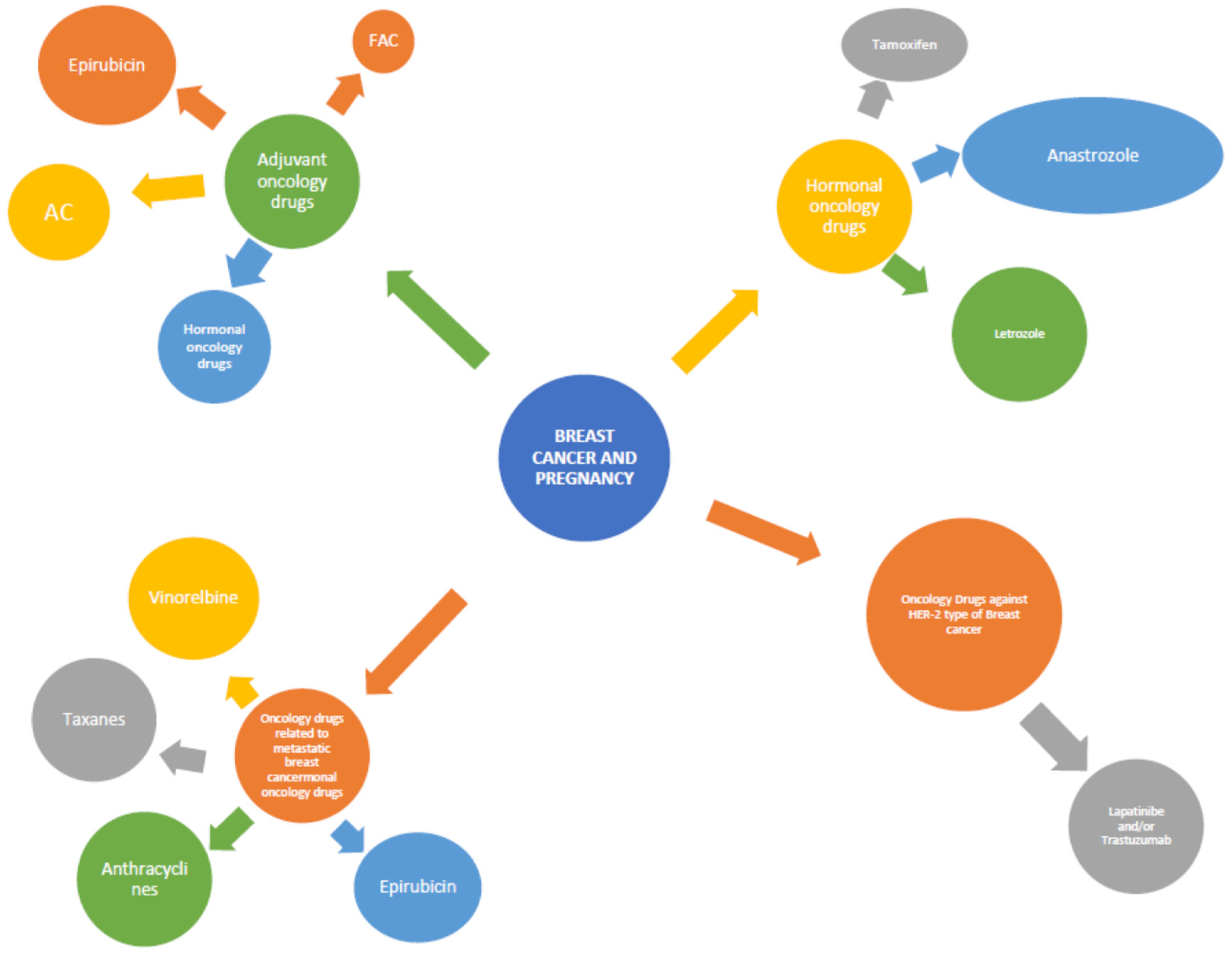 cancer-treatment-and-immunotherapy-during-pregnancy-encyclopedia-mdpi