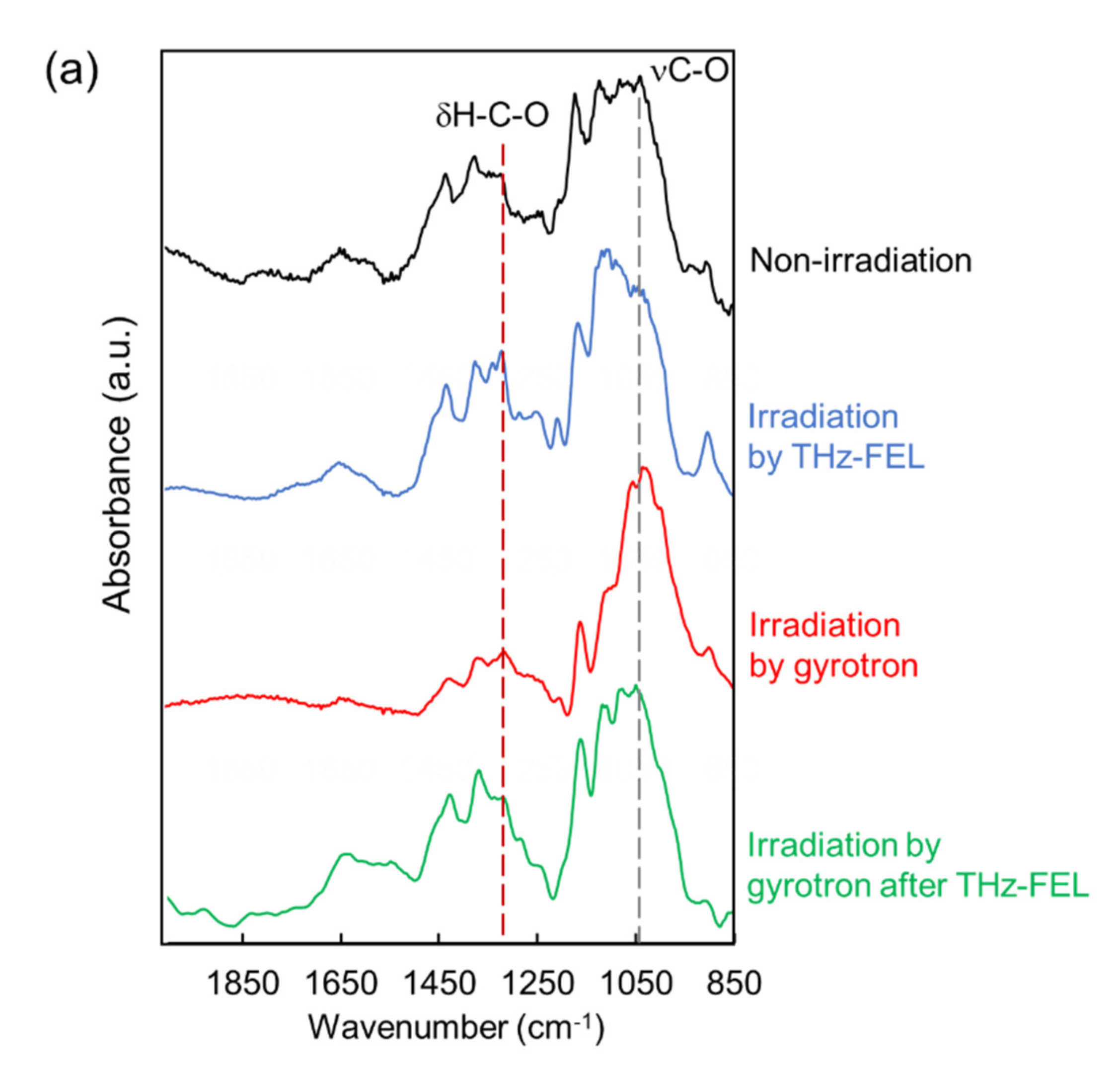 /media/item_content/202210/6351fbbd1d3e1biomolecules-12-01326-g004a.png