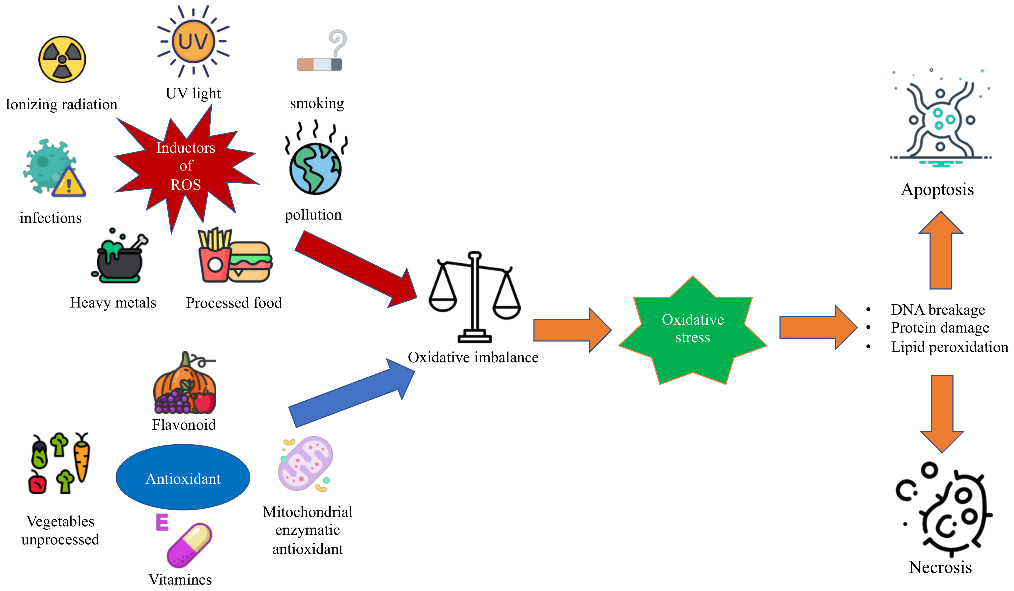 Impact Of Oxidative Stress On Pediatrics Syndromes Encyclopedia Mdpi