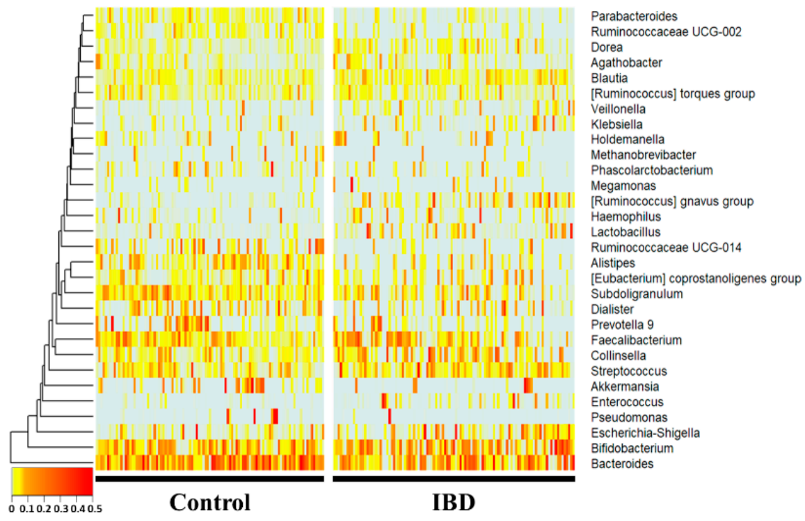 Heatmap plots for healthy and IBD