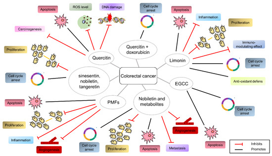 Cancers 14 05517 g005 550