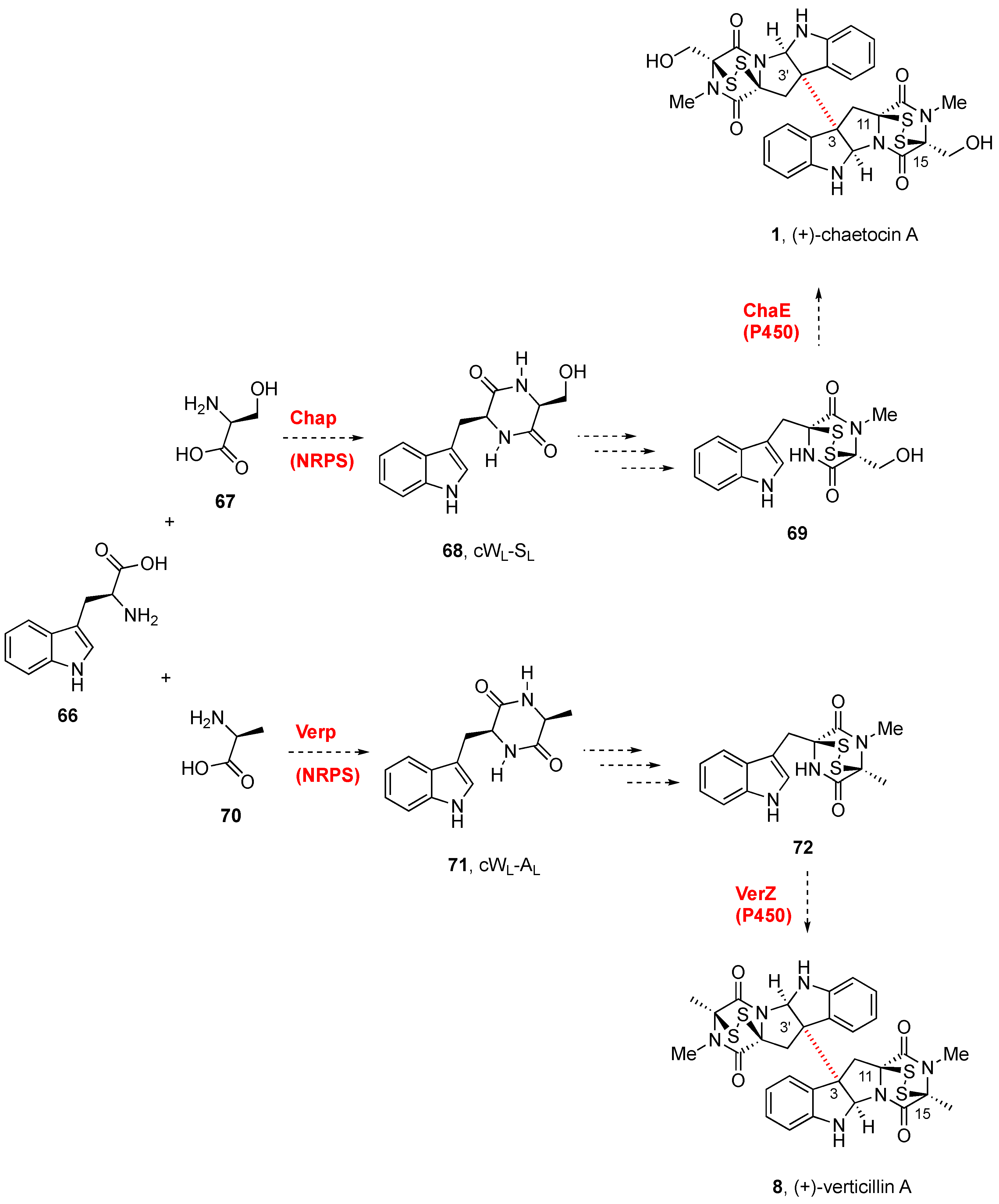 Molecules 27 07585 sch003