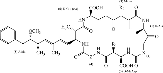 Figure 1. Chemical structure of microcystin. (X and Z represent different amino acids).