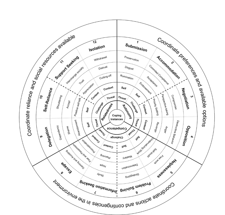 Figure 1. A radar view of 12 families of coping in gig work and a corresponding reading guide based on multiple dimensions of coping involved. Note: BPN = basic psychological needs.
