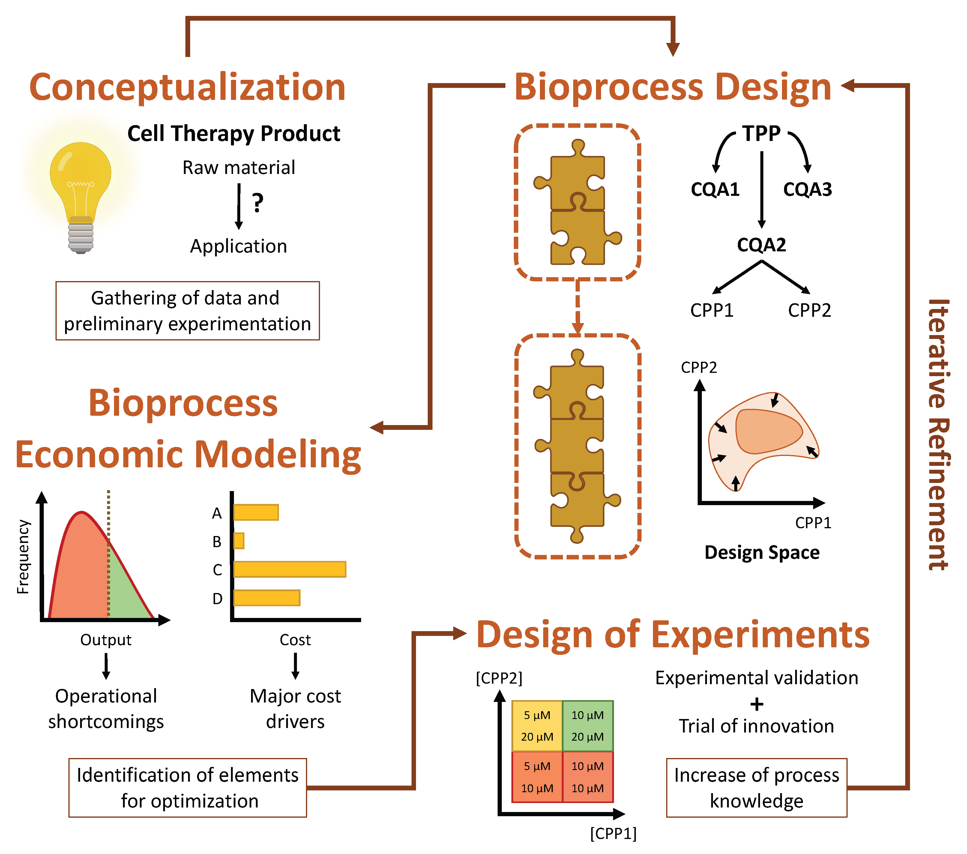 a case study in bioprocess development