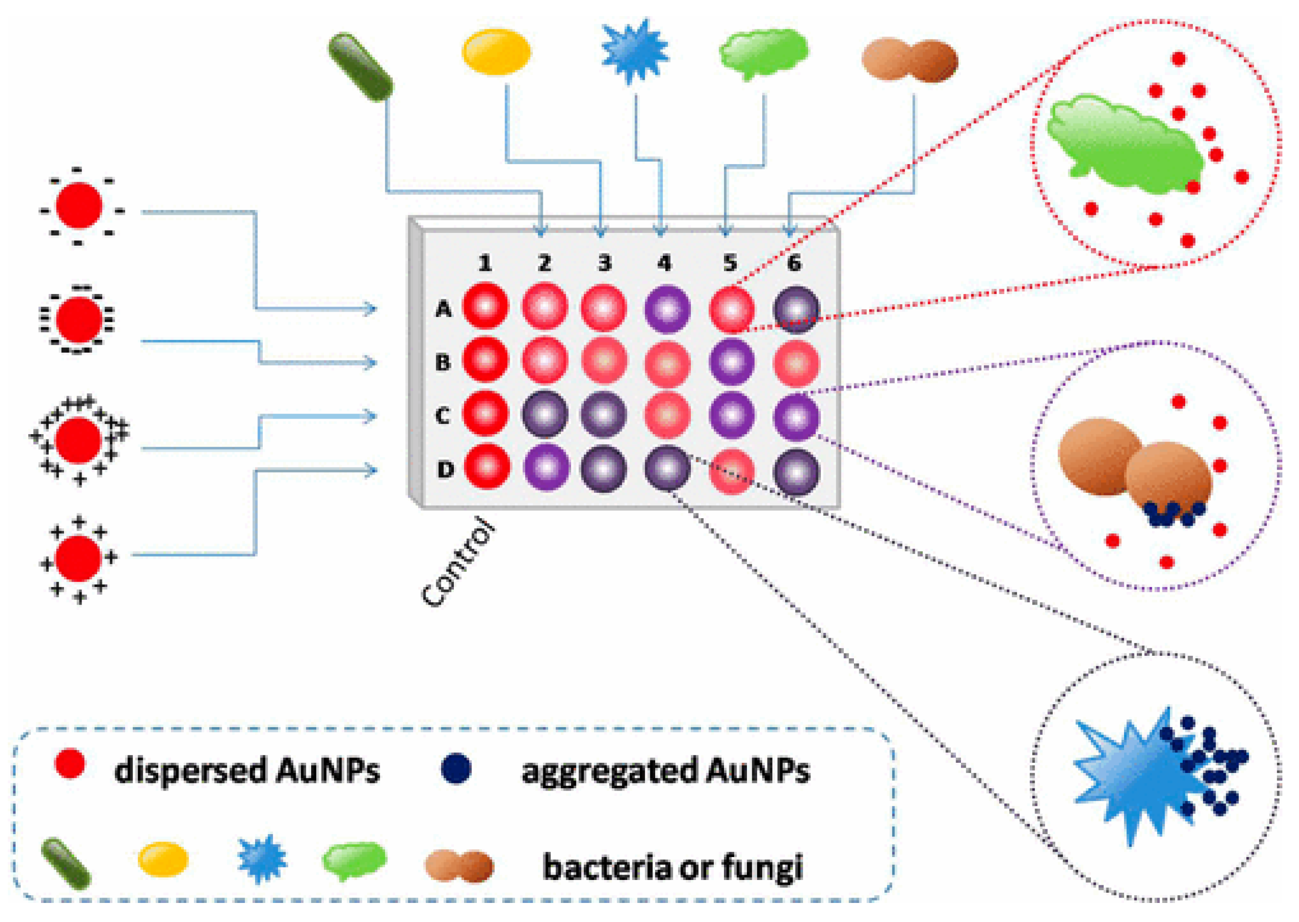 Biosensors 12 01155 g002