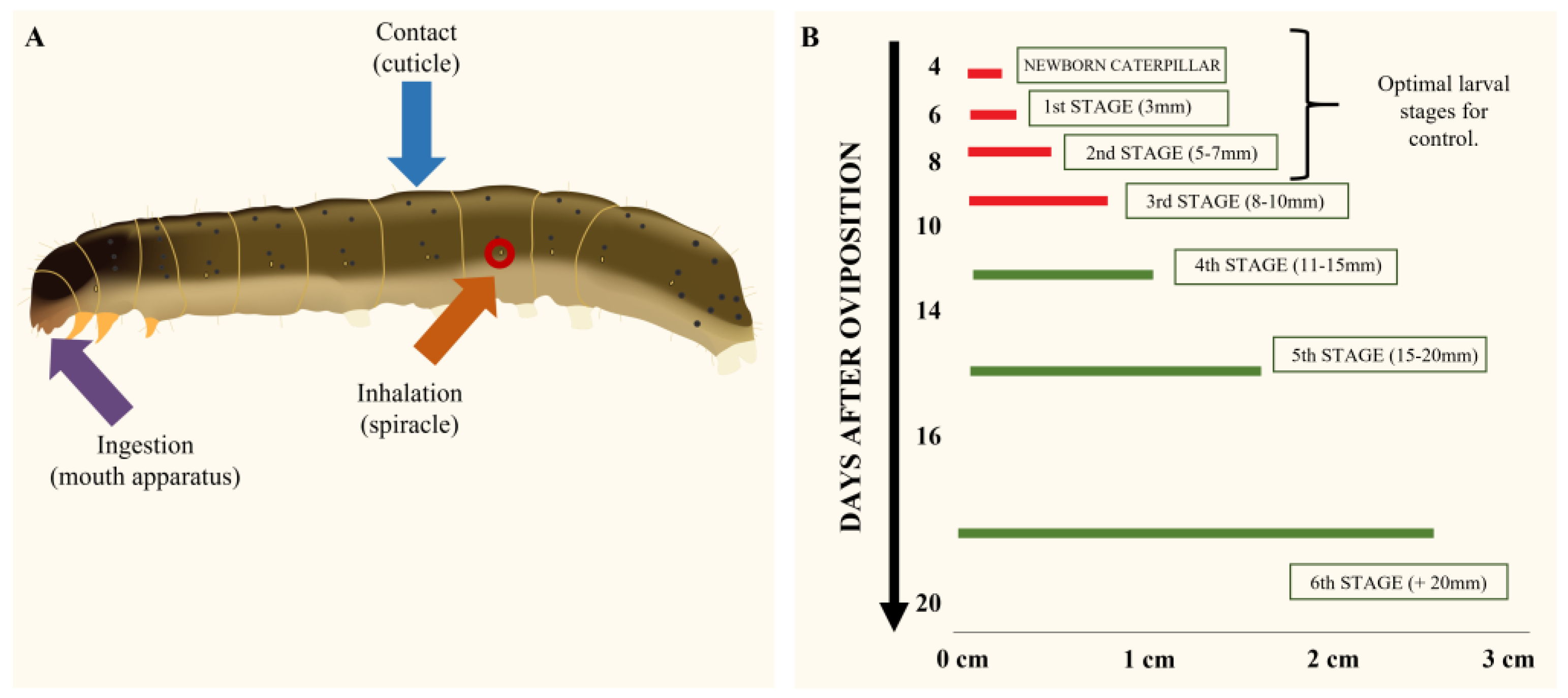 Plants 12 00003 g002