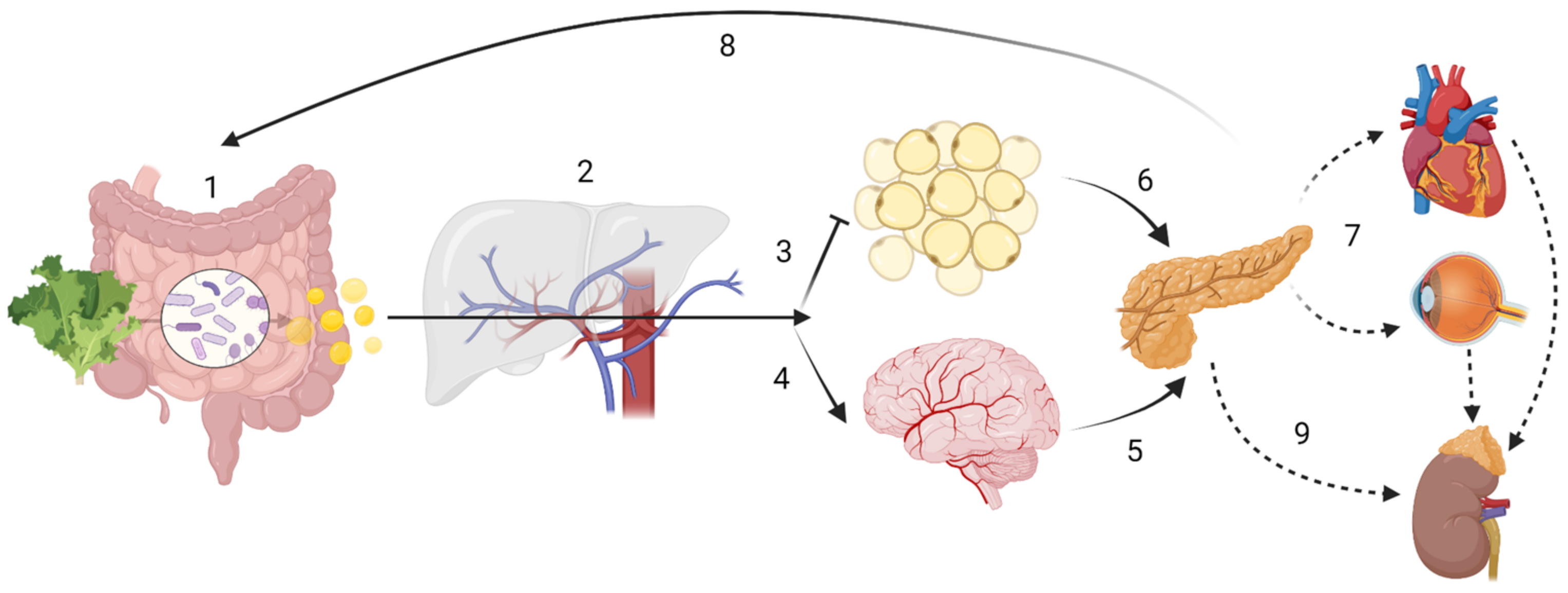 Nutrients 14 05361 g001