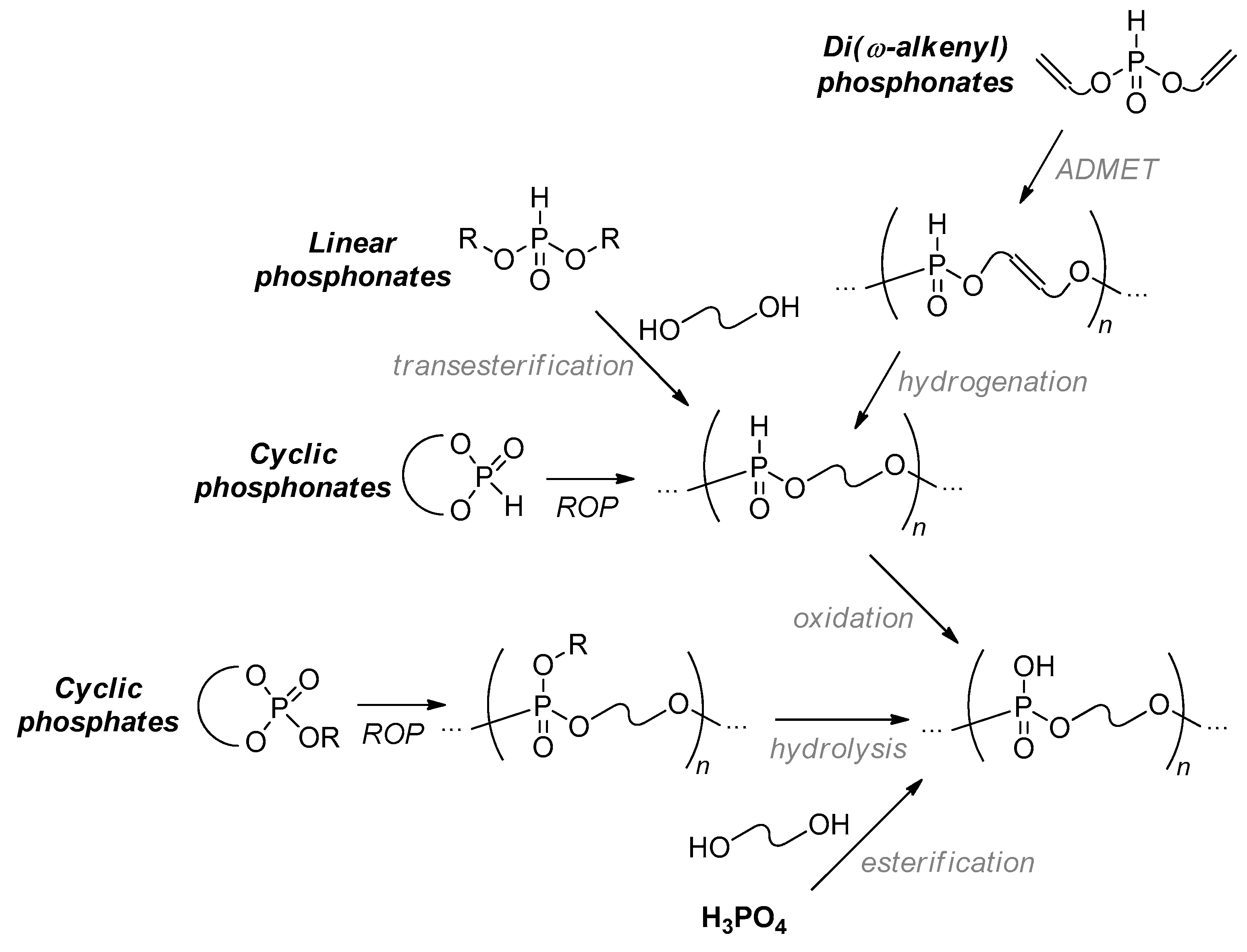 Design And Synthesis Of Polyphosphodiesters Encyclopedia MDPI Design And Synthesis Of Polyphosphodiesters Encyclopedia MDPI