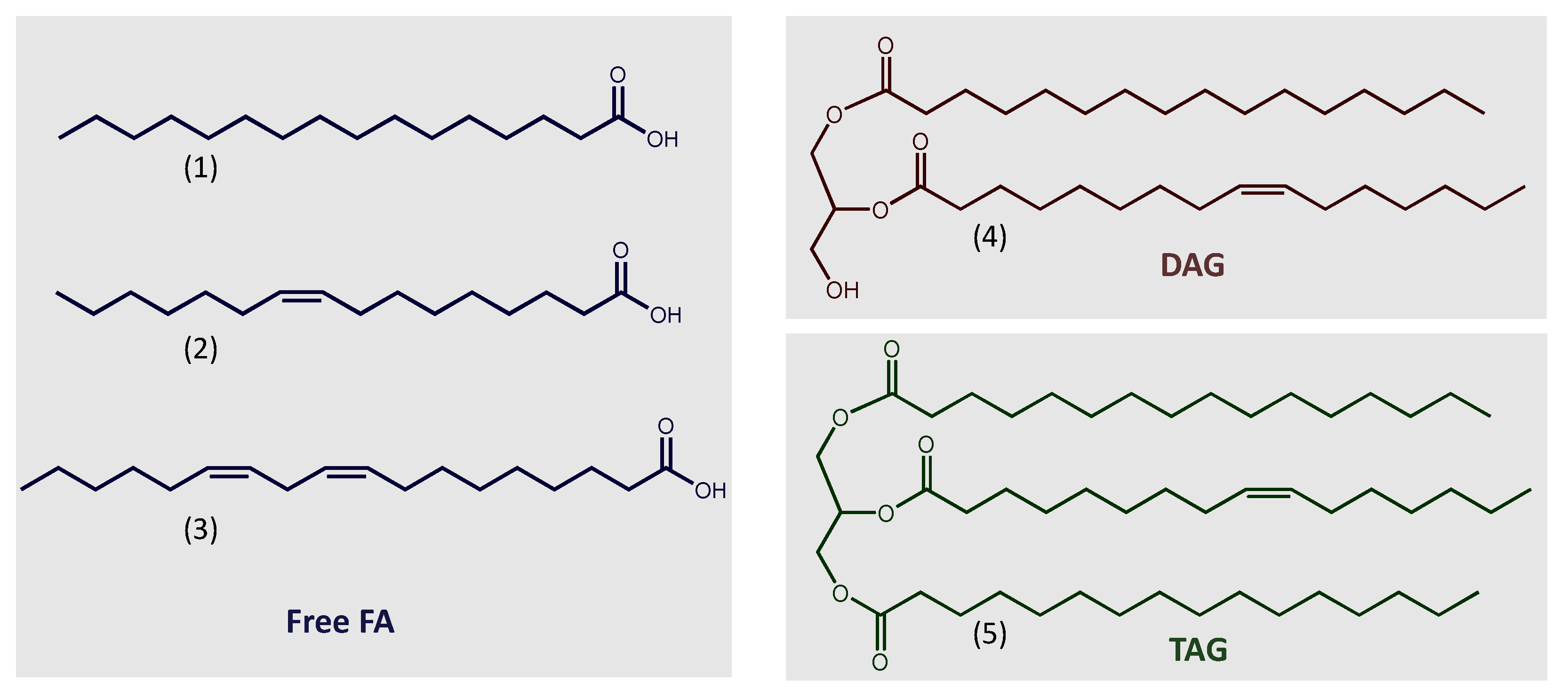 /media/item_content/202301/63c0ae6bd55aamicroorganisms-11-00034-g001.png