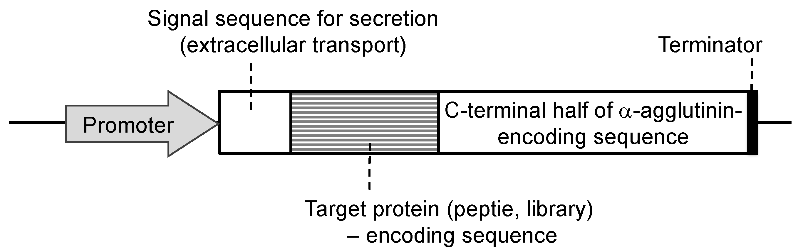 Microorganisms 11 00125 g002