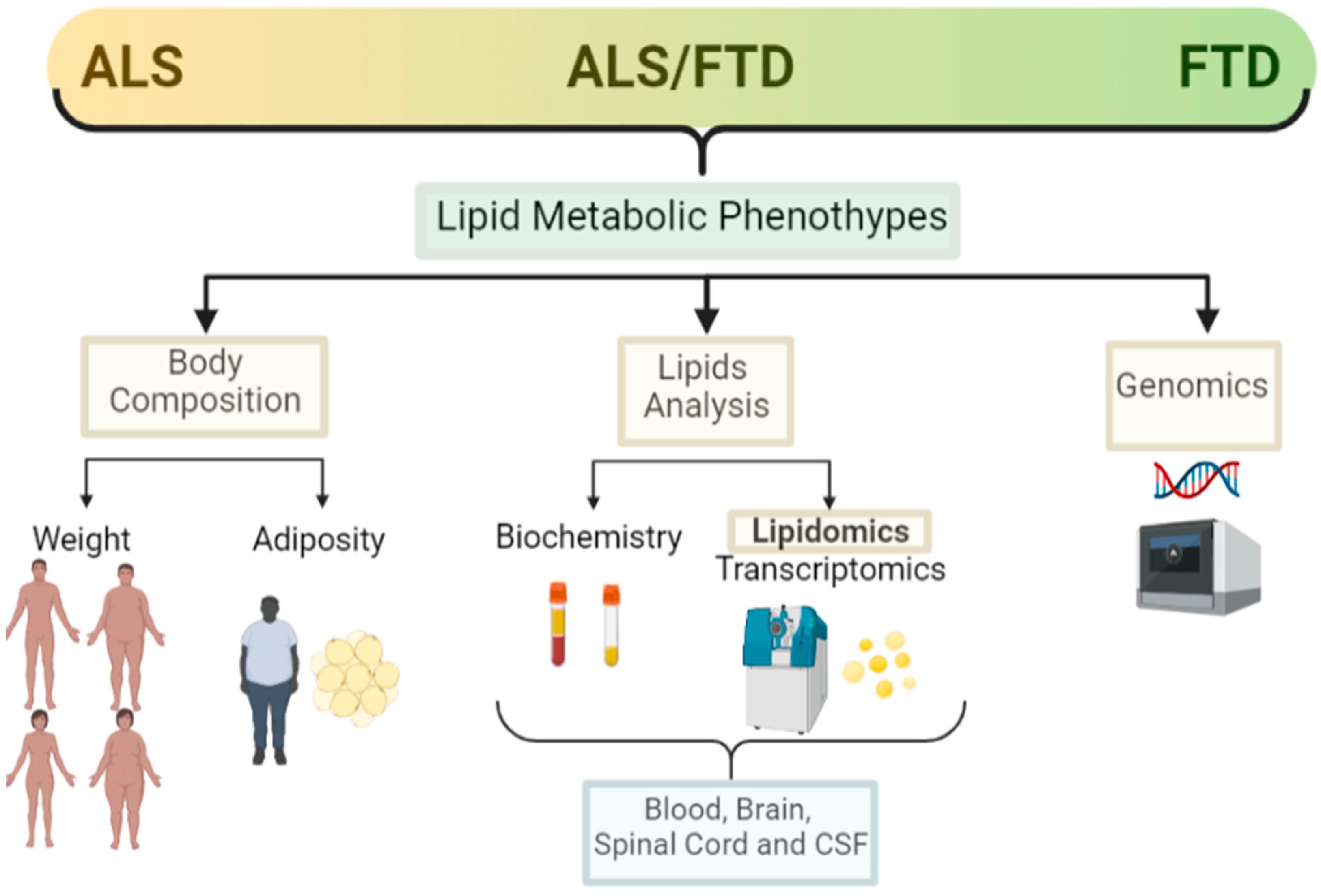 biomedicines-10-01105-g002.png (3255×2208)