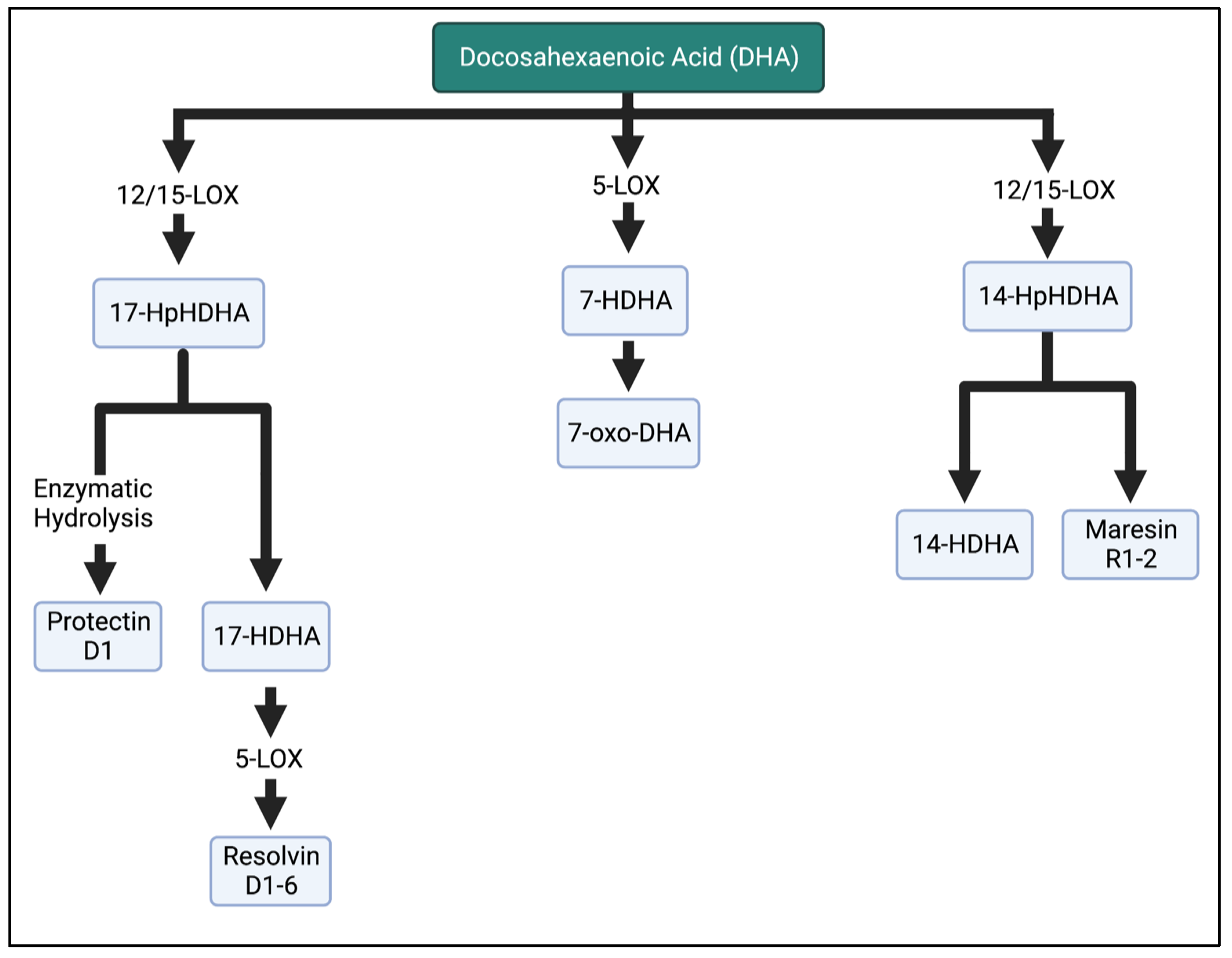 Biomedicines 11 00171 g006