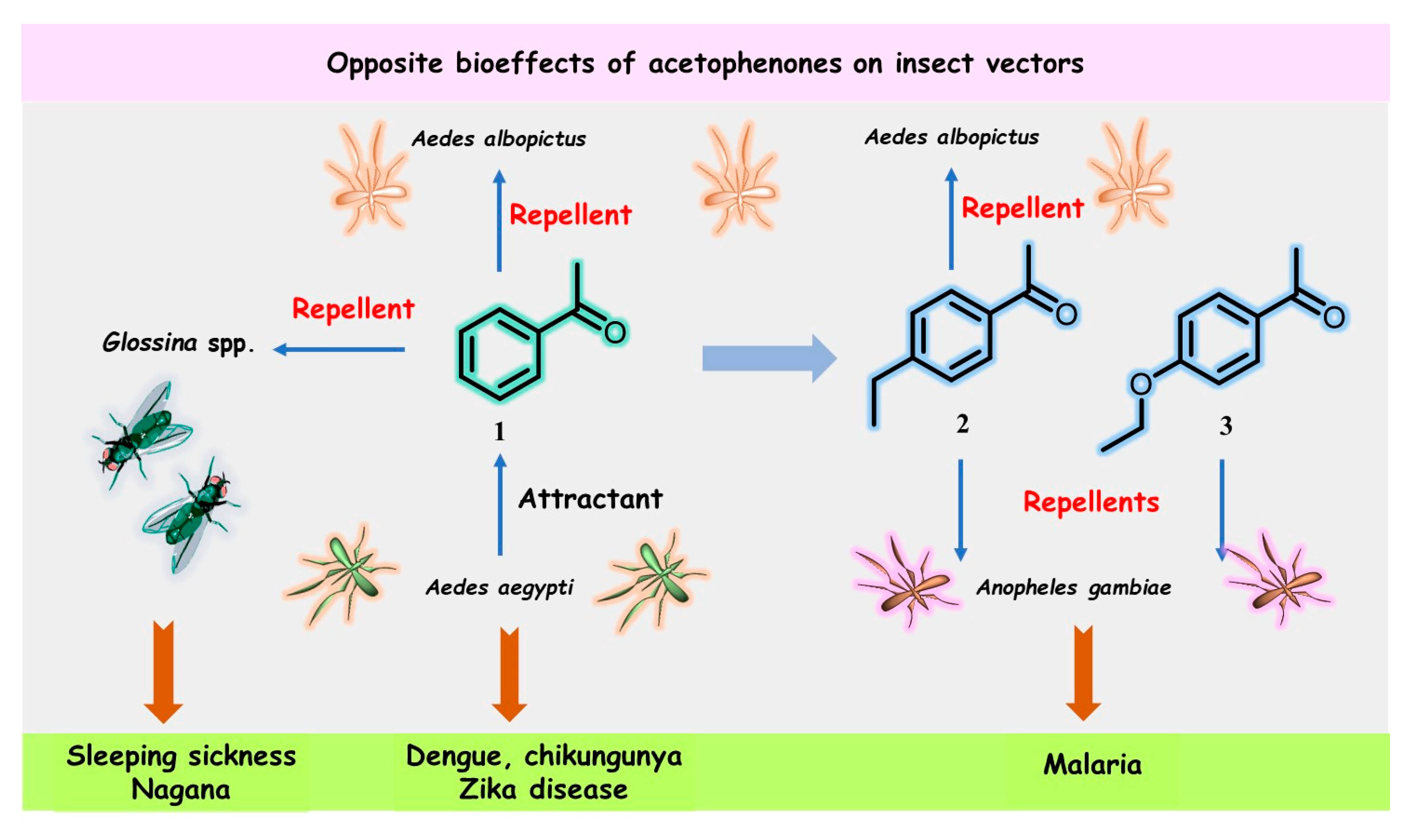 Molecules 28 00370 g001