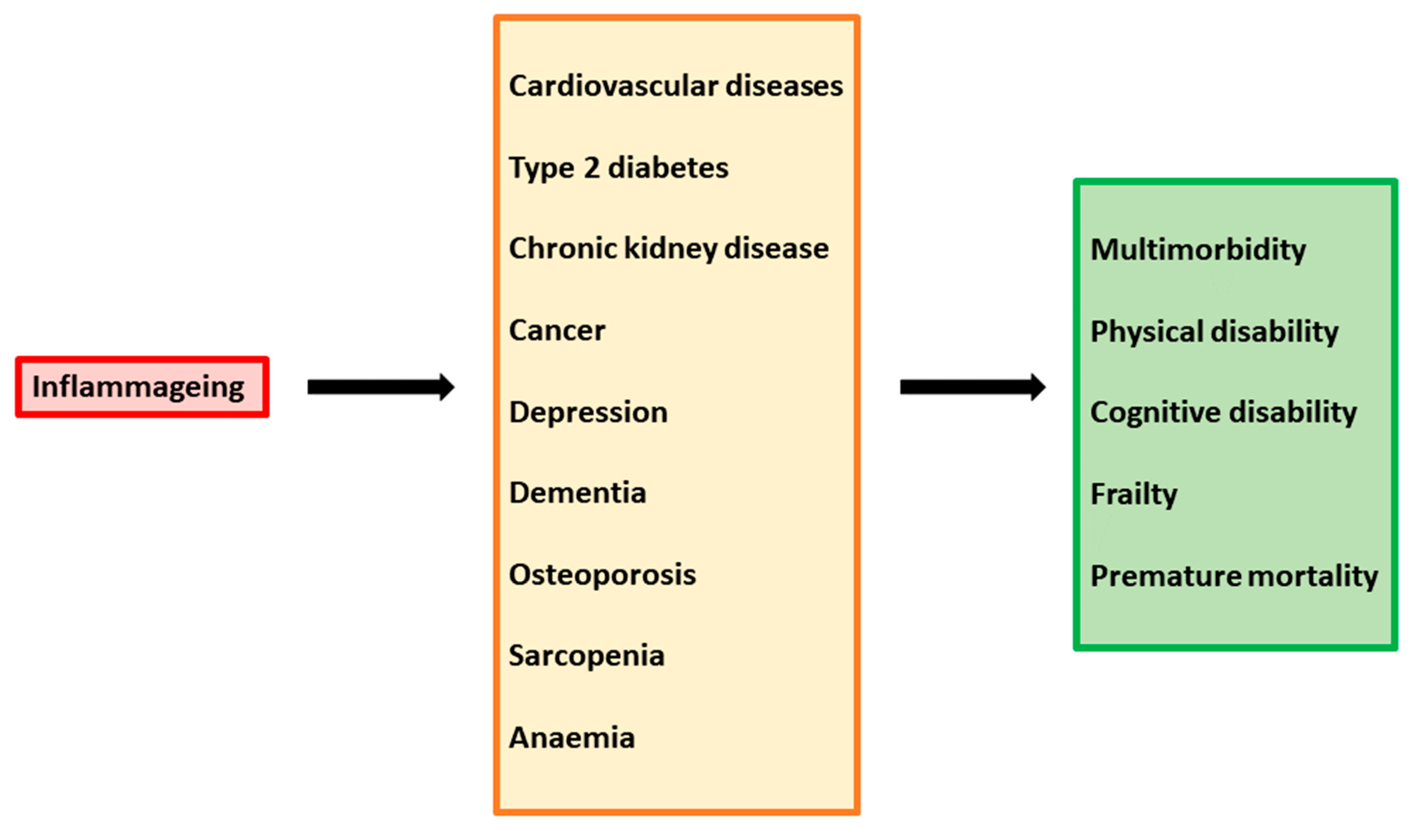 Biomedicines 11 00159 g002