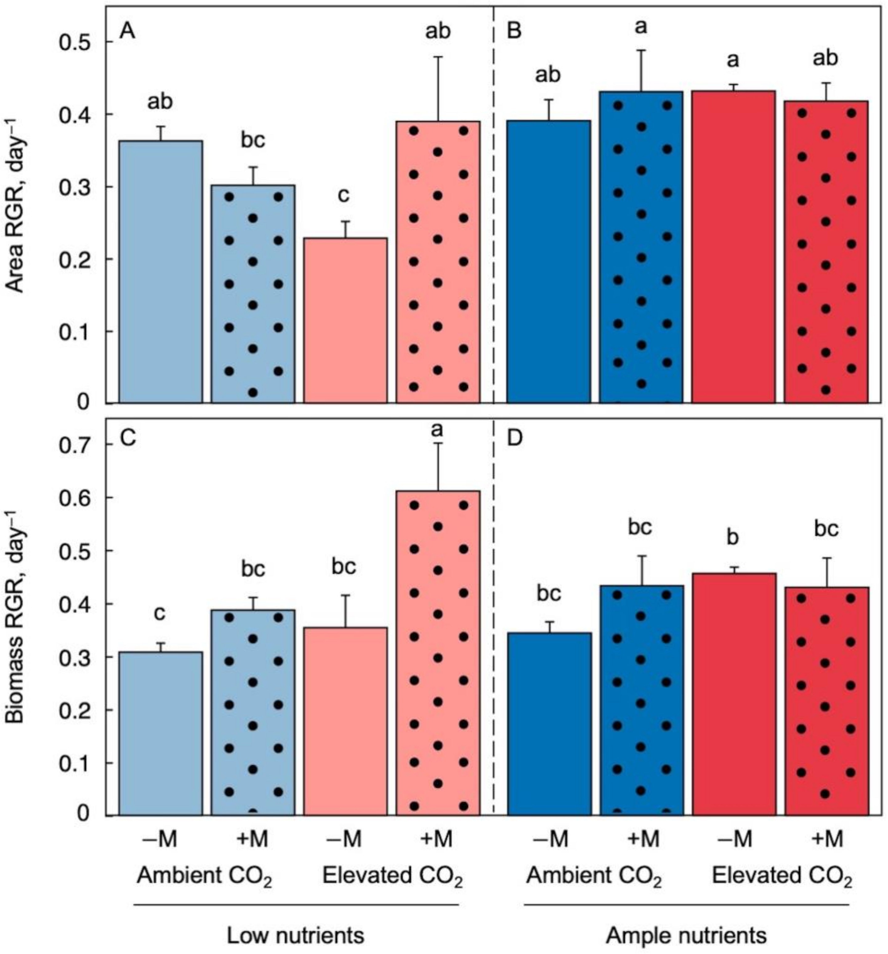 Figure 1. Relative growth rate (RGR) of frond area expansion under low (A) and ample (B) nutrients as well as RGR of dry biomass production under low (C) and ample (D) nutrients for Lemna minor grown in 1/20 (light blue or light red) or 1/2 (dark blue or red) strength Schenk & Hildebrandt medium under either ambient (blue) or elevated (red) CO2 levels. Blue and red-color columns indicate ambient and elevated CO2, respectively. Solid-fill columns represent plants that were not inoculated (−M) and dotted columns plants that were inoculated (+M) with microorganisms from a pond with L. minor. Mean values ± standard deviations; n = 3. Different lower-case letters represent significant differences at p < 0.05.  