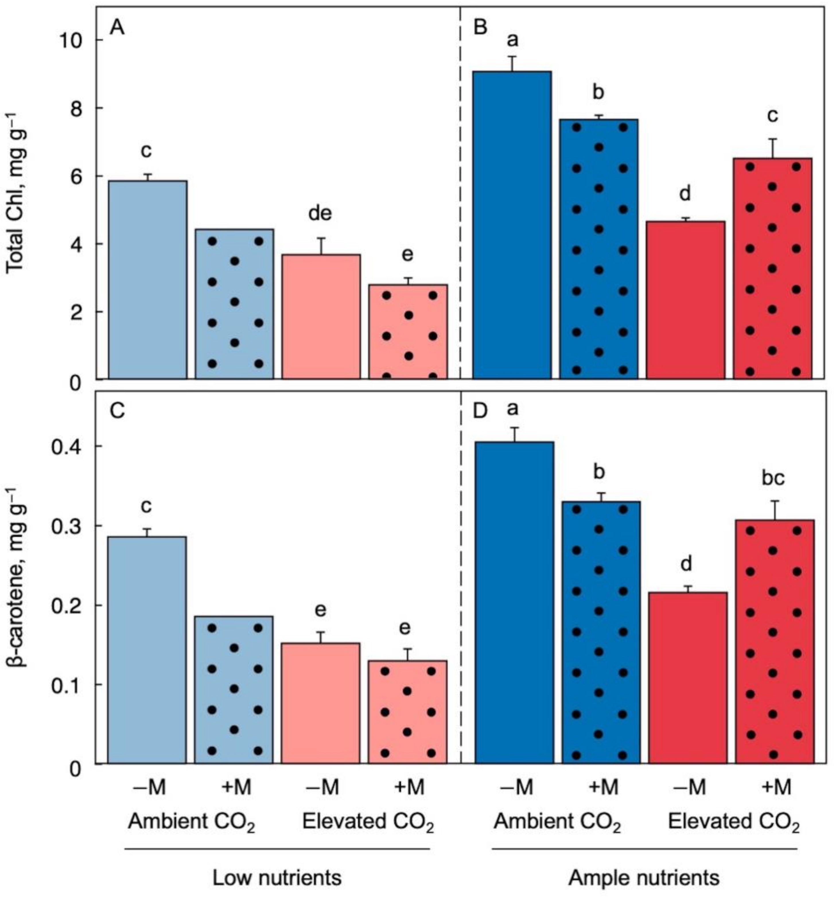 Figure 3. Chlorophyll (a + b) content (A,B) and β-carotene content (C,D) as fractions of dry biomass under low (A,C) and ample (B,D) nutrient supply for Lemna minor grown in 1/20 (light blue or light red) or 1/2 strength (dark blue or dark red) Schenk & Hildebrandt medium and either ambient (blue) or elevated (red) CO2 levels. Solid columns represent plants that were not inoculated (−M) and dotted columns represent plants that were inoculated (+M) with microorganisms from a pond with L. minor. Mean values ± standard deviations; n = 3 under all conditions except for n = 2 in the treatment of inoculated fronds in ambient CO2 and low nutrients. Different lower-case letters represent significant differences at p < 0.05.