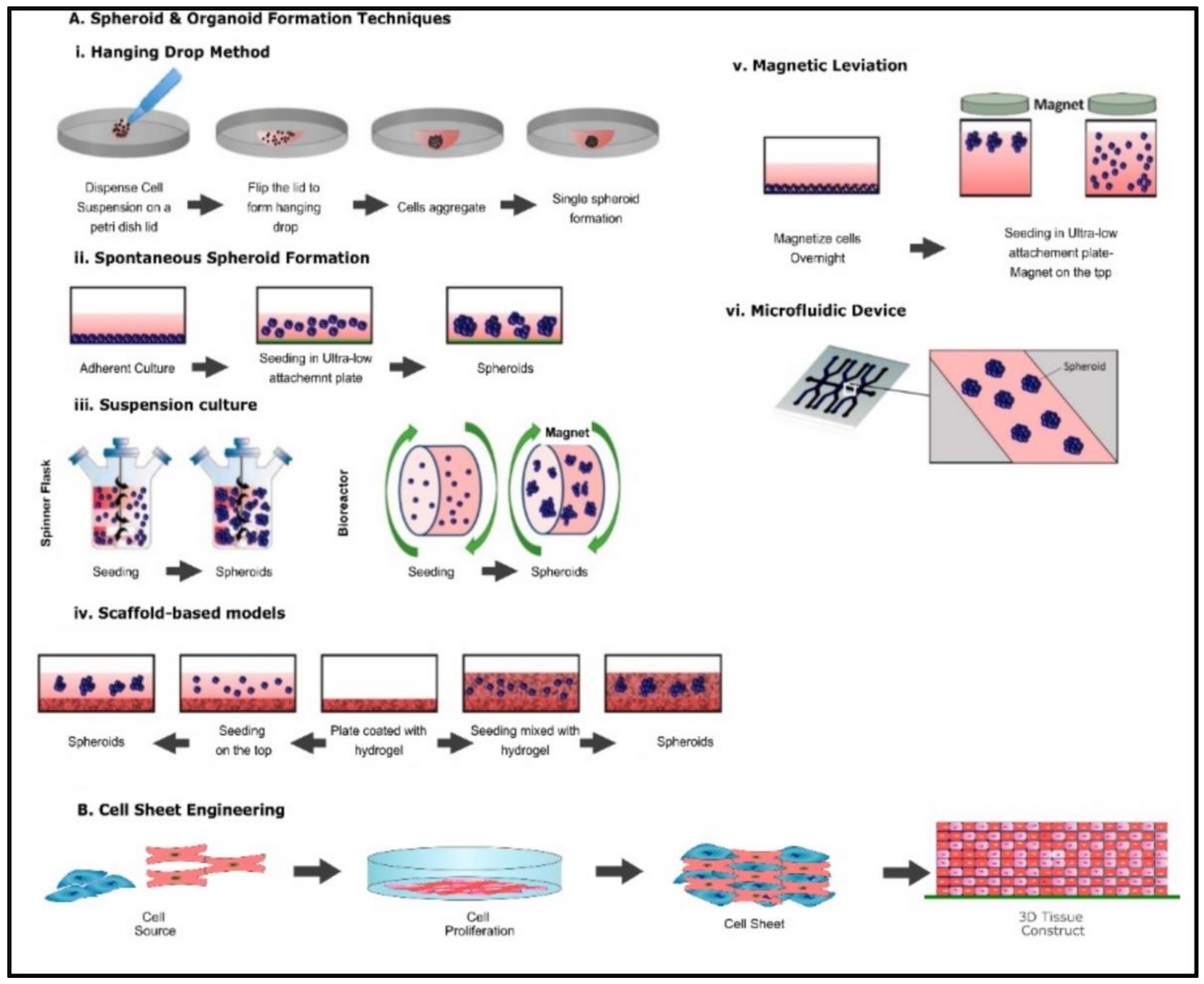 Frontiers  Low-cost gel-filled microwell array device for