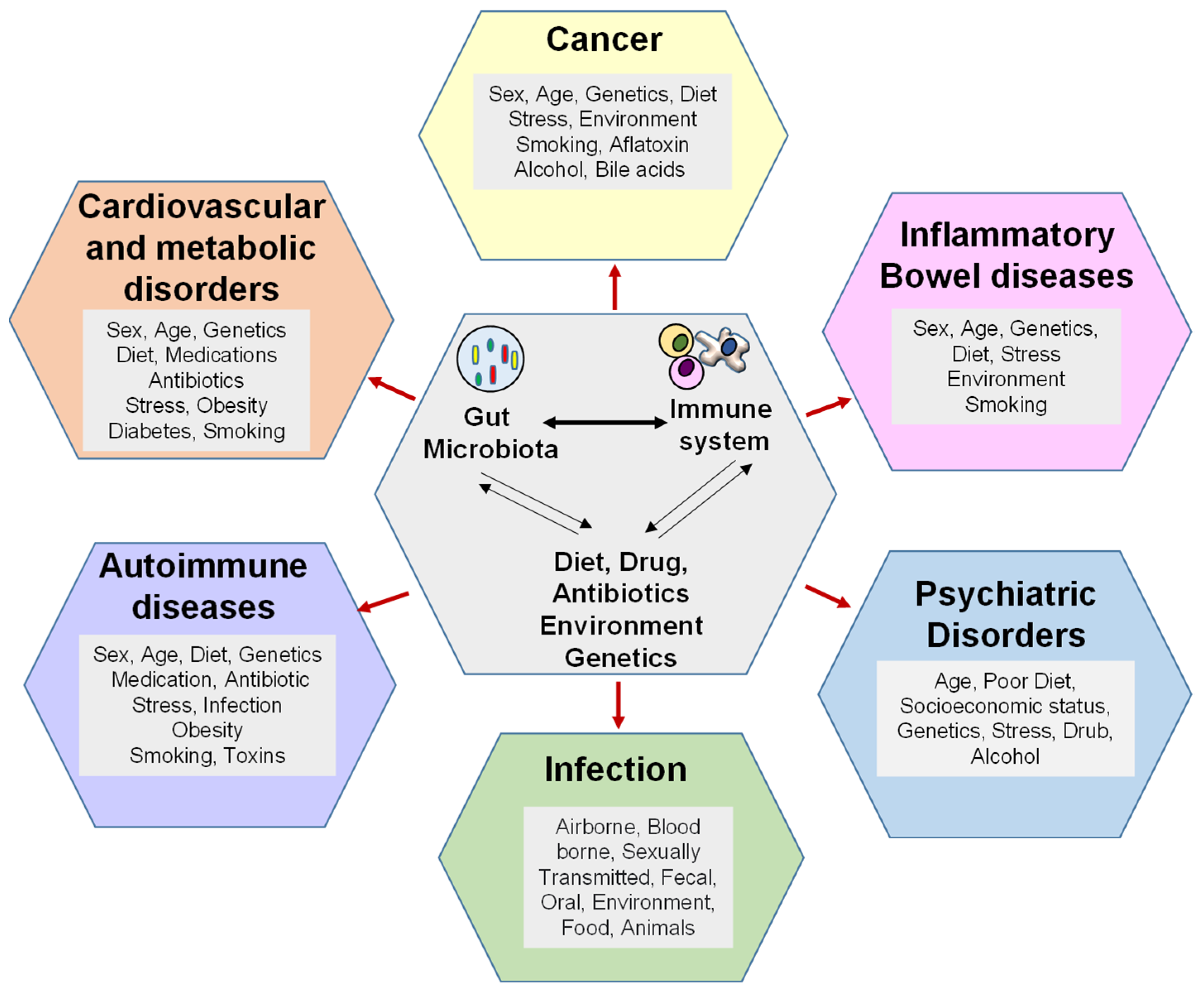 Dysregulation Of Microbiomeimmunity Interaction In Various Diseases