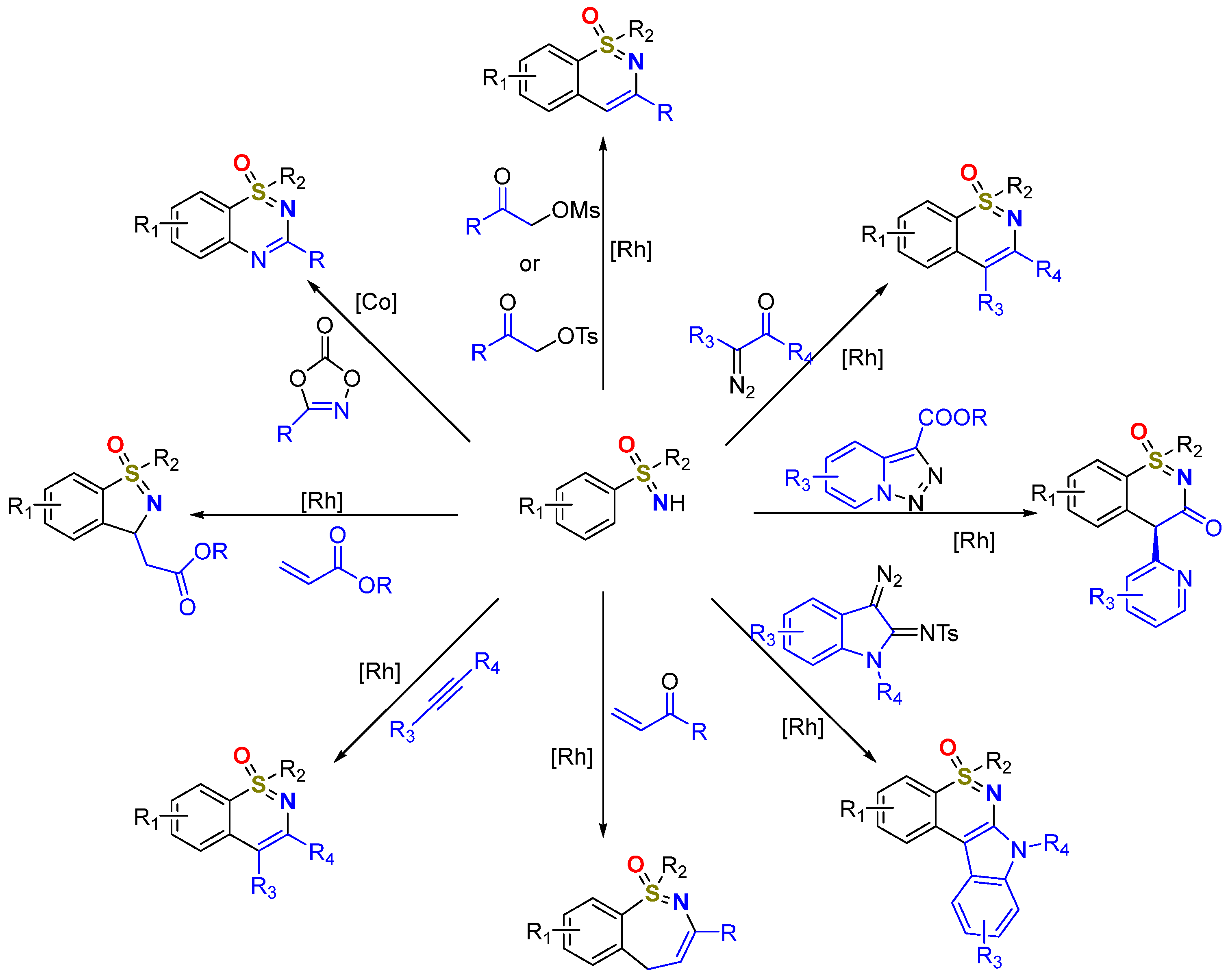 Molecules 28 01367 g002