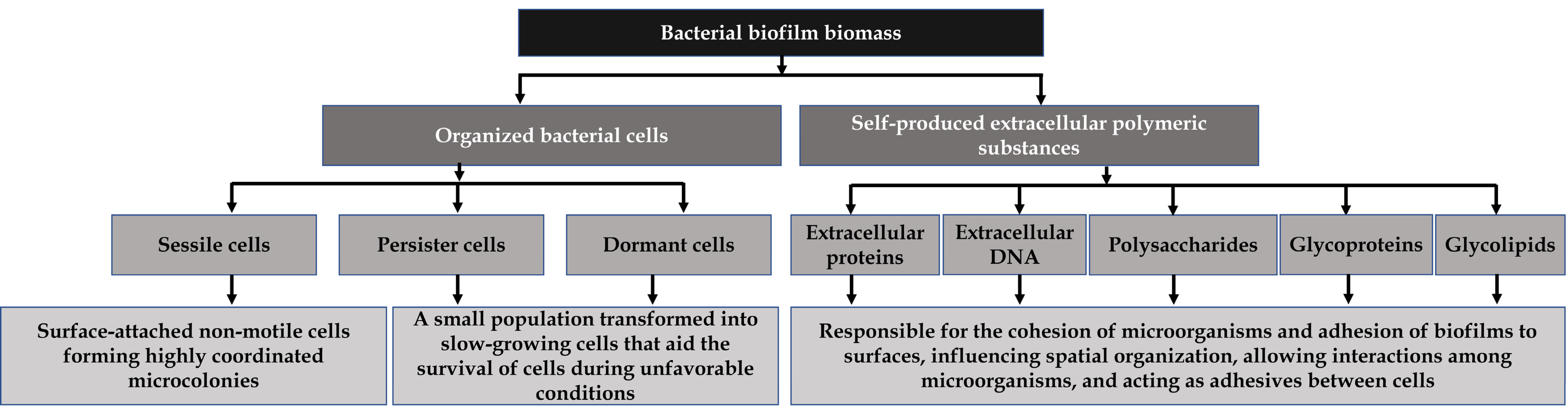 /media/item_content/202302/63edc893b0416pathogens-12-00270-g001.png