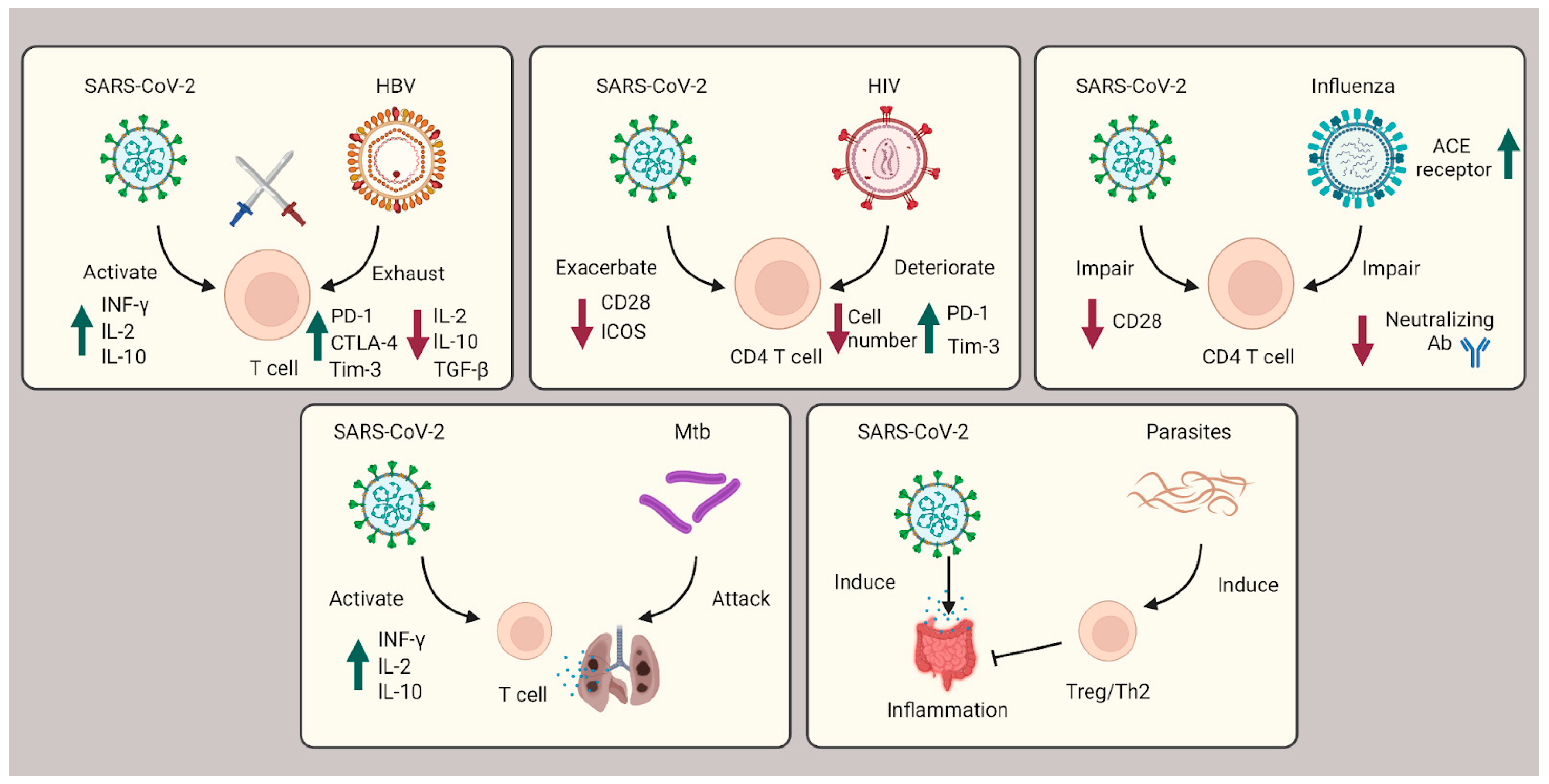 Pathogens 12 00321 g003